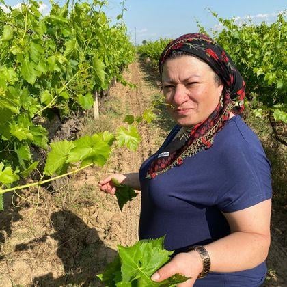Yaprak