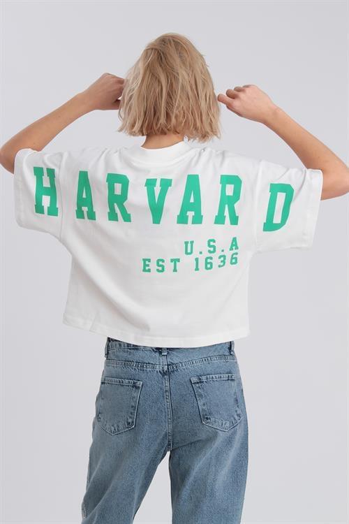 0021 HARVARD BASKILI TİŞÖRT EKRU