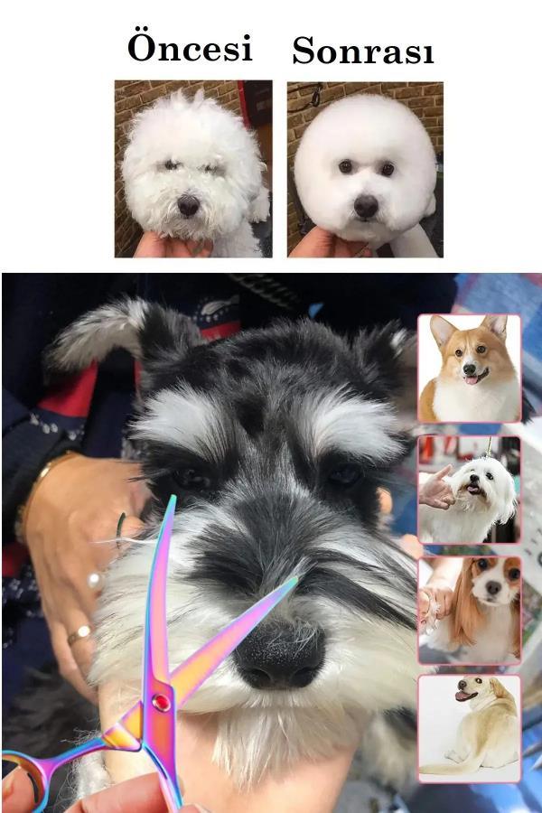 7 inç Rainbow Düz Kavis Makası