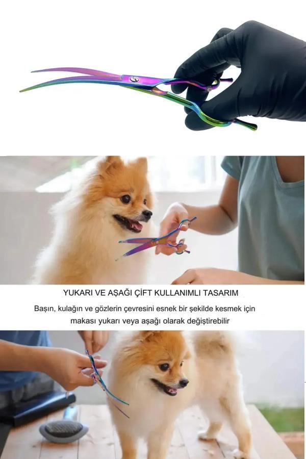 7 inç Rainbow Düz Kavis Makası