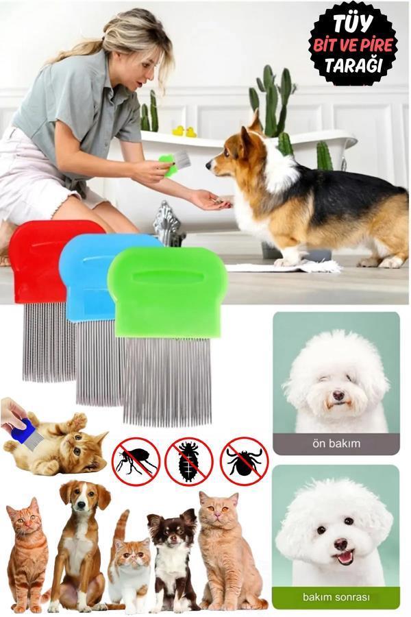 Çelik Bit Pireği Tarağı