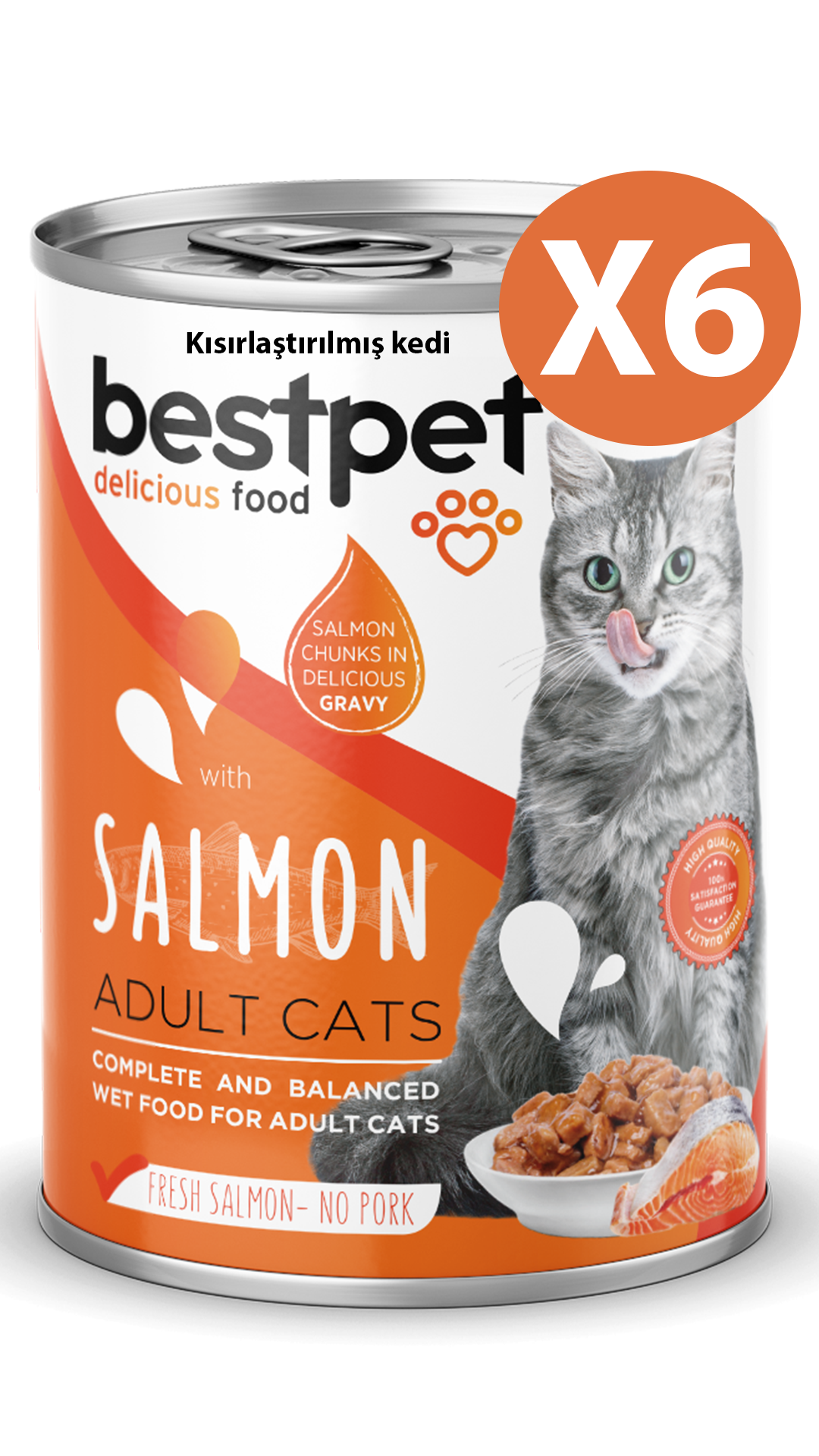 BestPet Somonlu Kısırlaştırılmış Kedi Konservesi 400gr 6 Adet