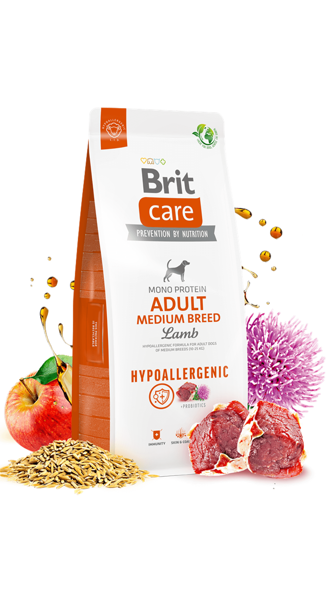 Brit Care Hypo-Allergenic Kuzulu ve Pirinçli Orta Irk Yetişkin Köpek Maması 12kg
