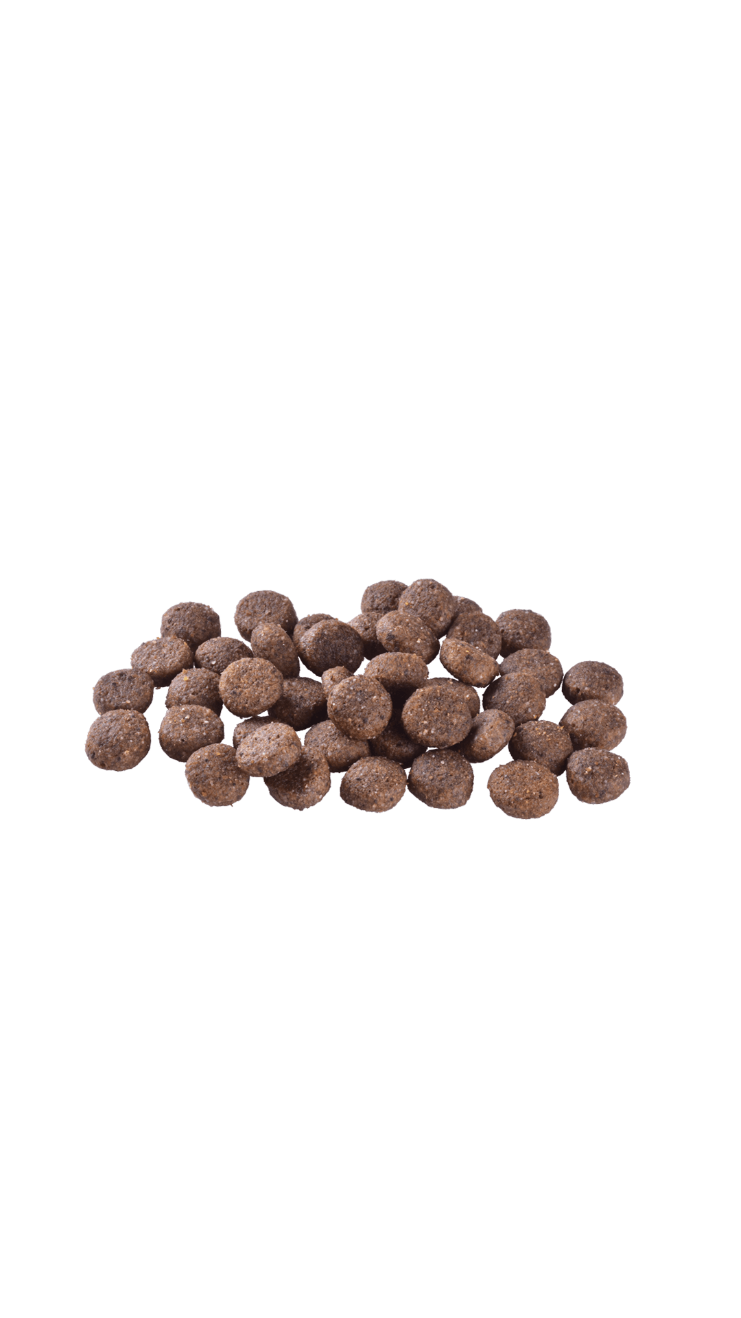 Brit Care Skin & Coat Tüm Irklar için Somonlu Tahılsız Yetişkin Köpek Maması 12kg
