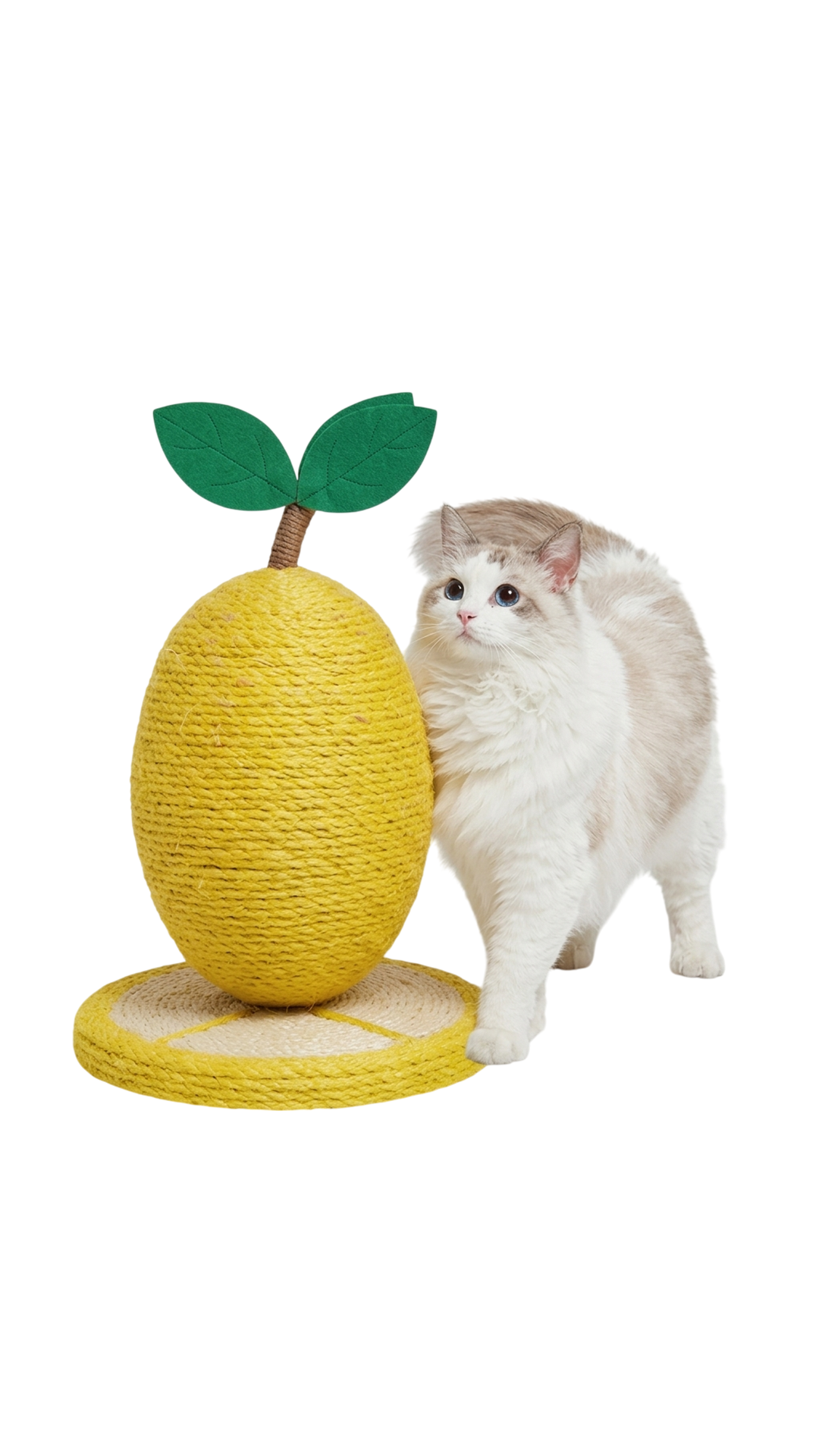 Hasır limon tırmalama tahtasi 18*25cm