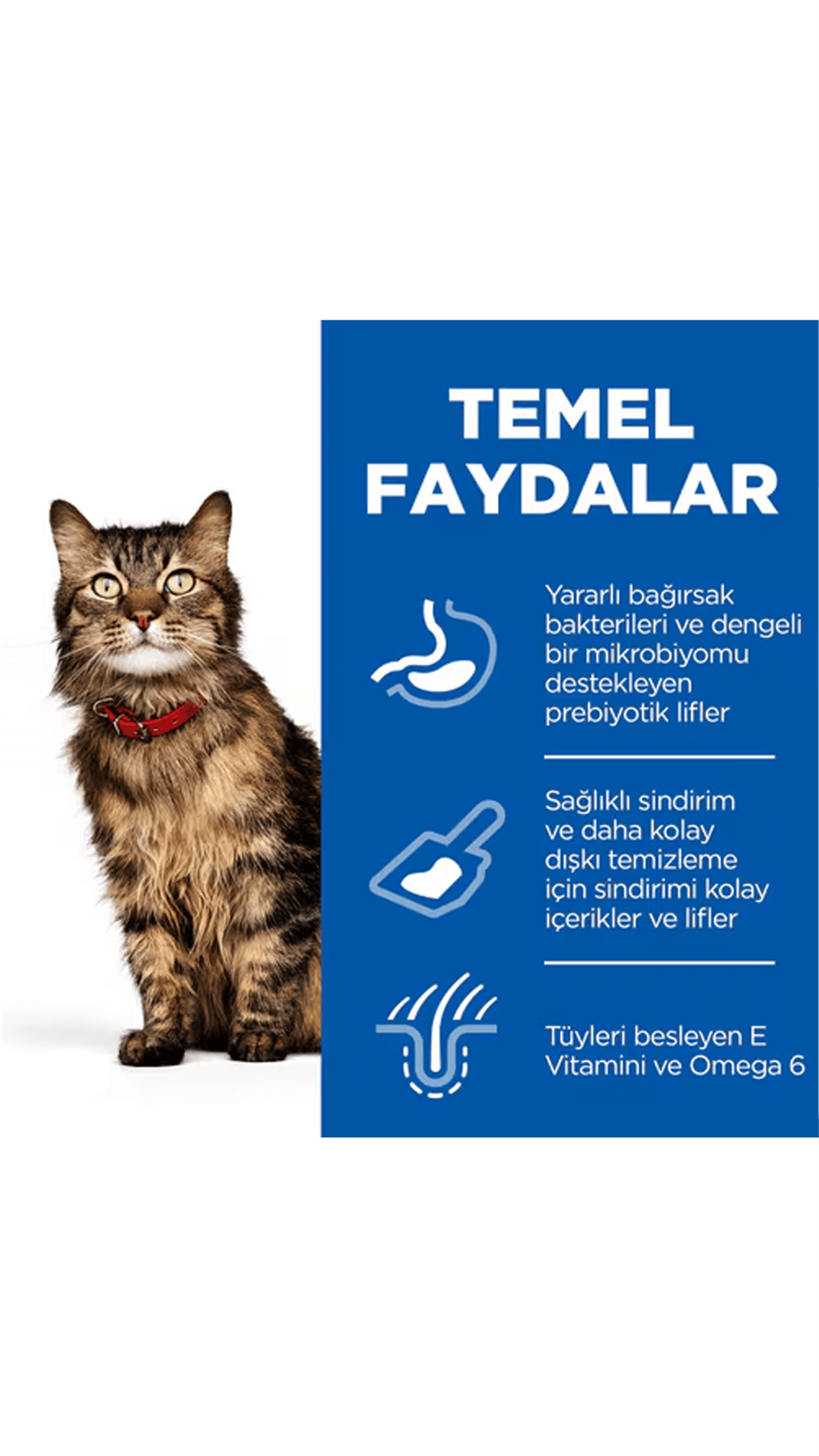 Hills Feline Sensitive Skin Tavuklu Yetişkin Kedi Maması 1,5 KG
