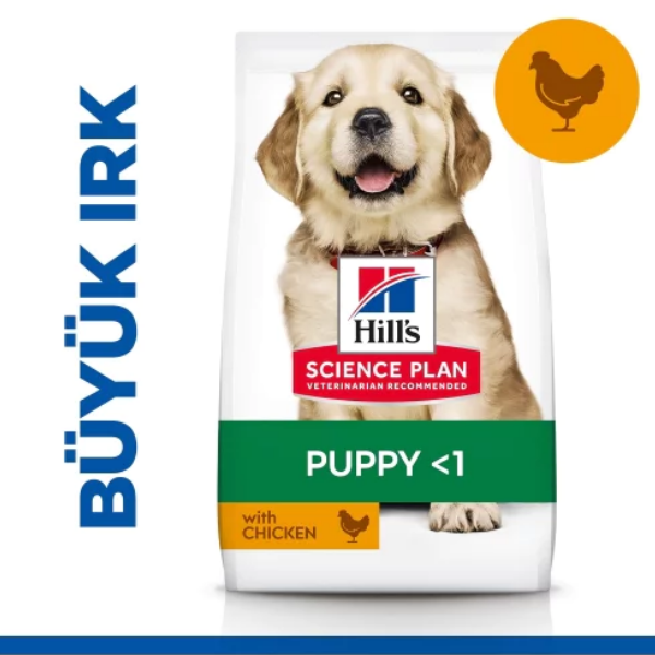 Hill's SCIENCE PLAN Tavuklu Büyük Irk Yavru Köpek Maması 2,5kg