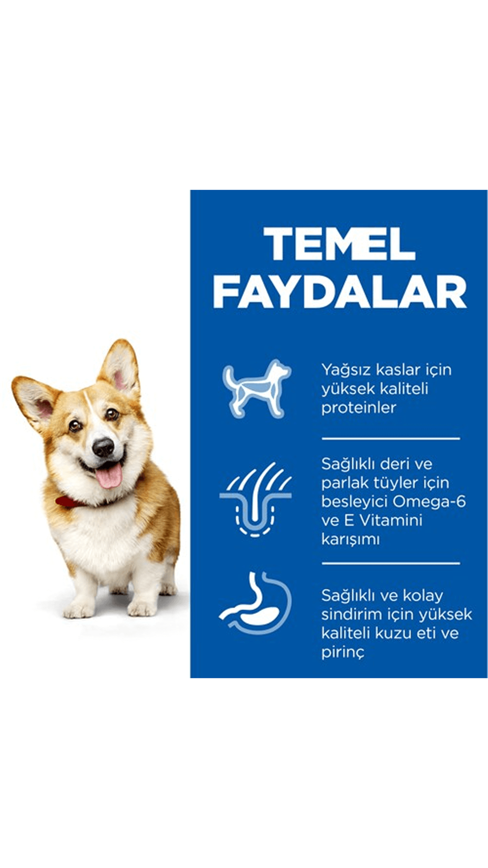 Hills Small & Mini Küçük Ve Minyatür Köpek Maması 1,5 Kg.Kuzulu
