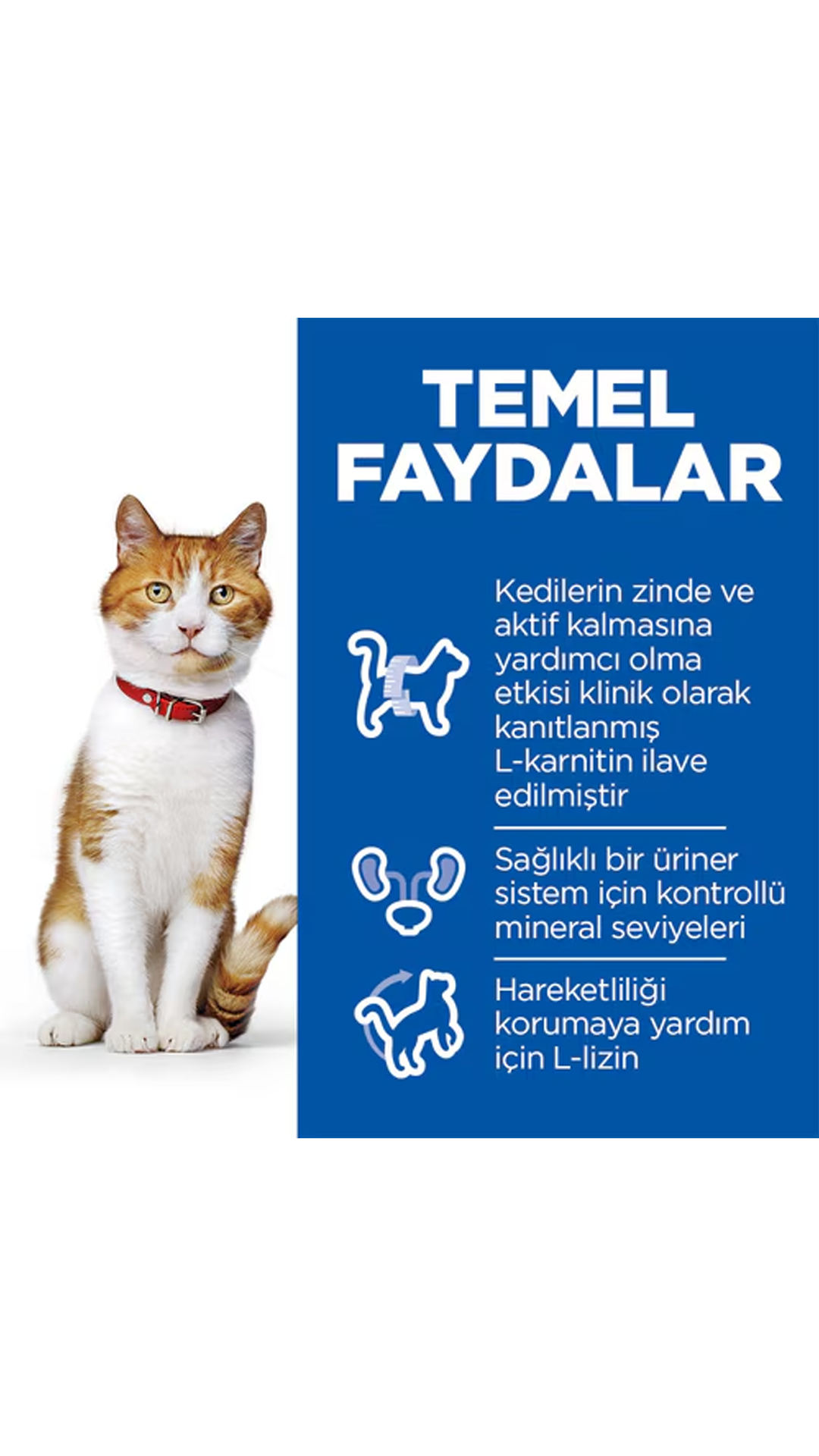 HILLS STERILISED TUNA KEDİ MAMASI - 10 KG