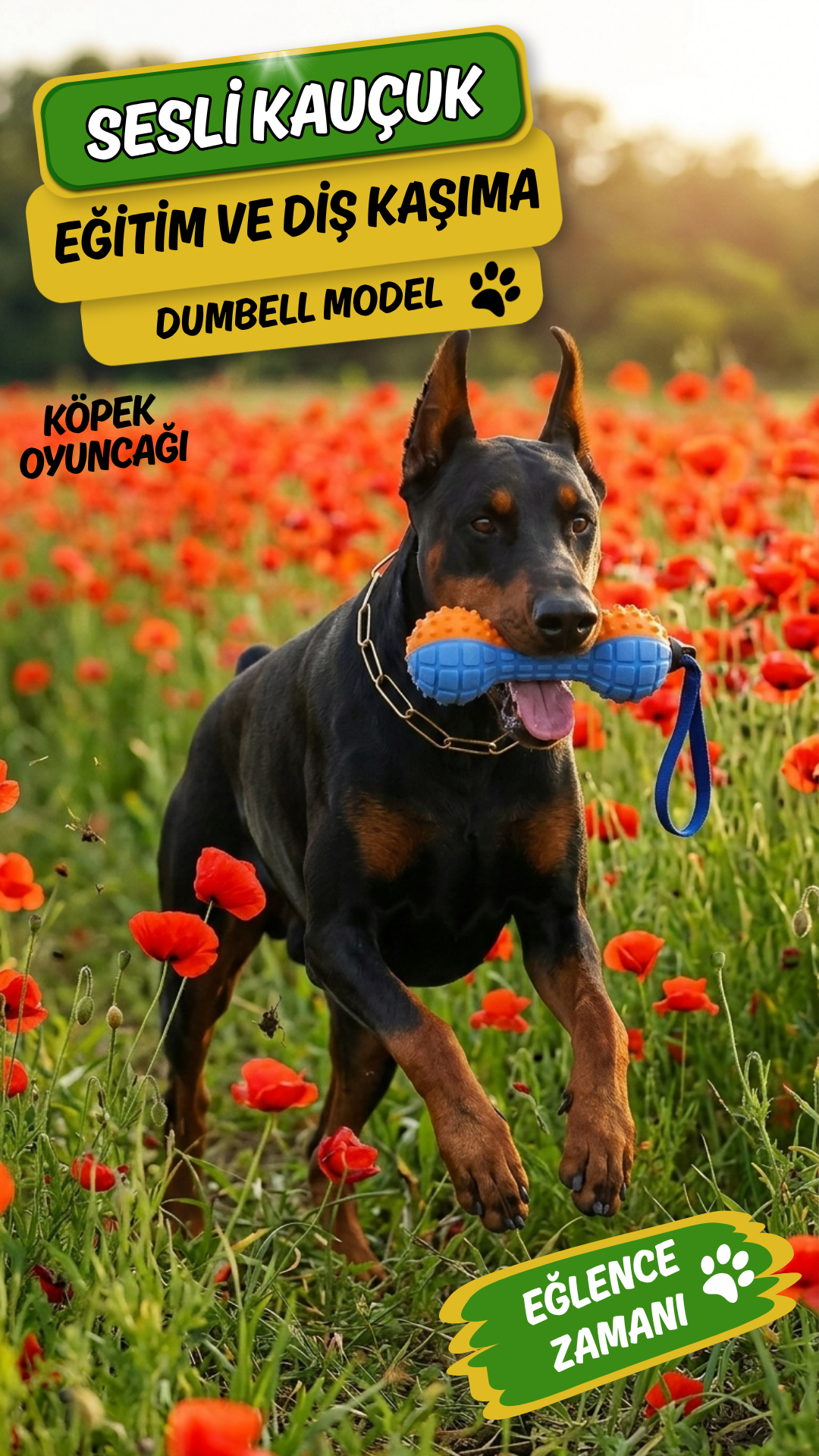 Kauçuk Sesli Dumbell Model Köpek Diş Kaşıma ve Eğitim Oyuncağı