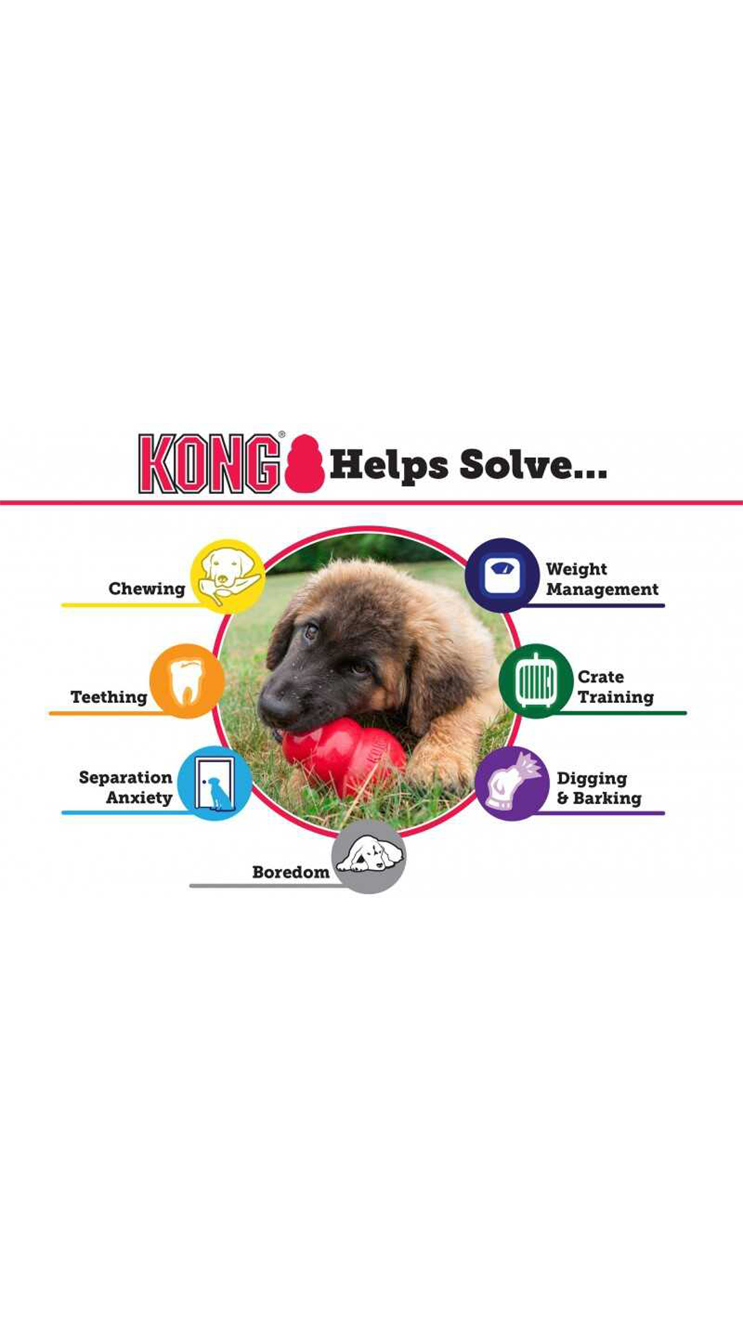 KONG Extreme Köpekler için Çok Amaçlı Isırma M