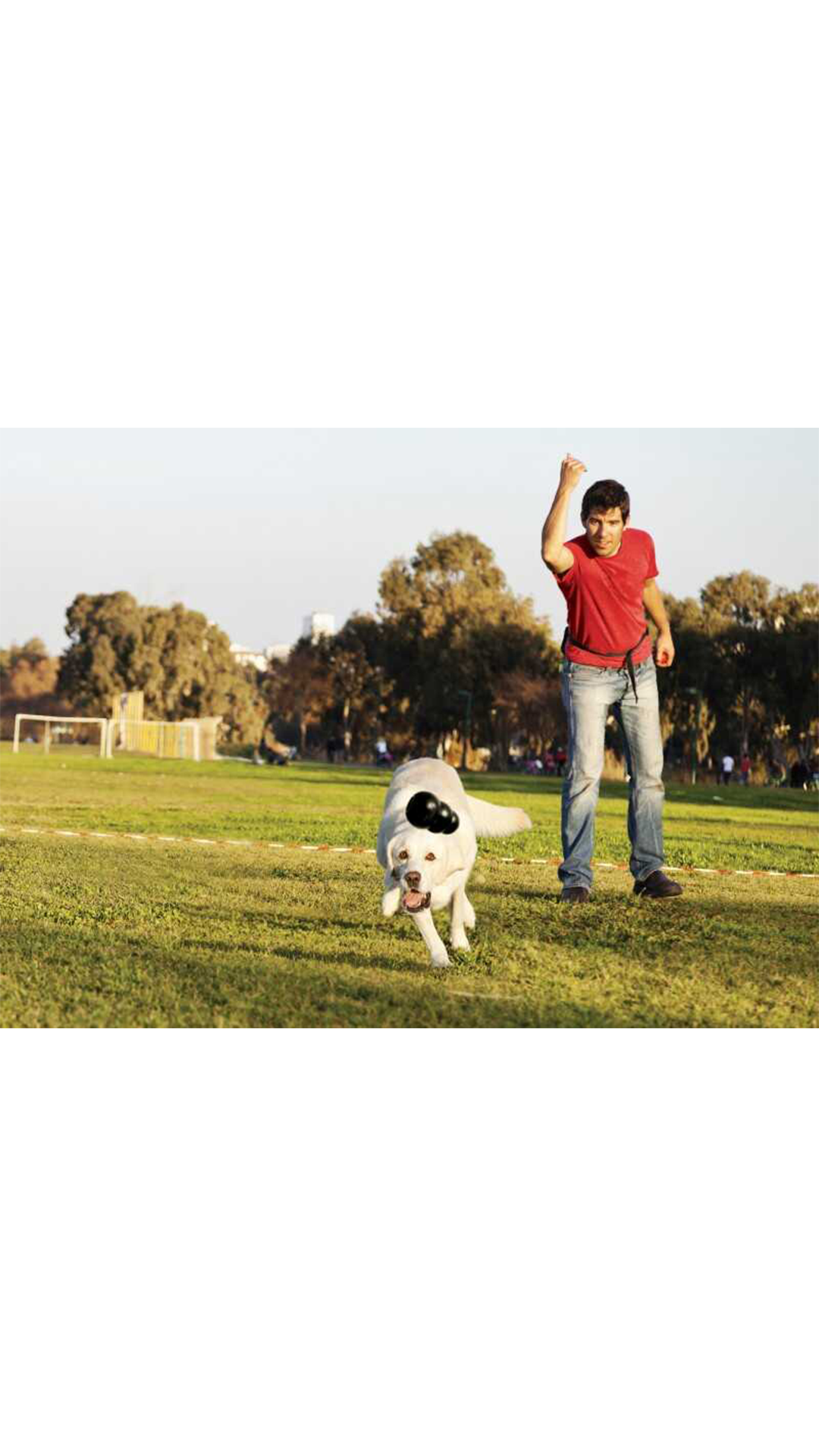 KONG Extreme Köpekler için Çok Amaçlı Isırma M
