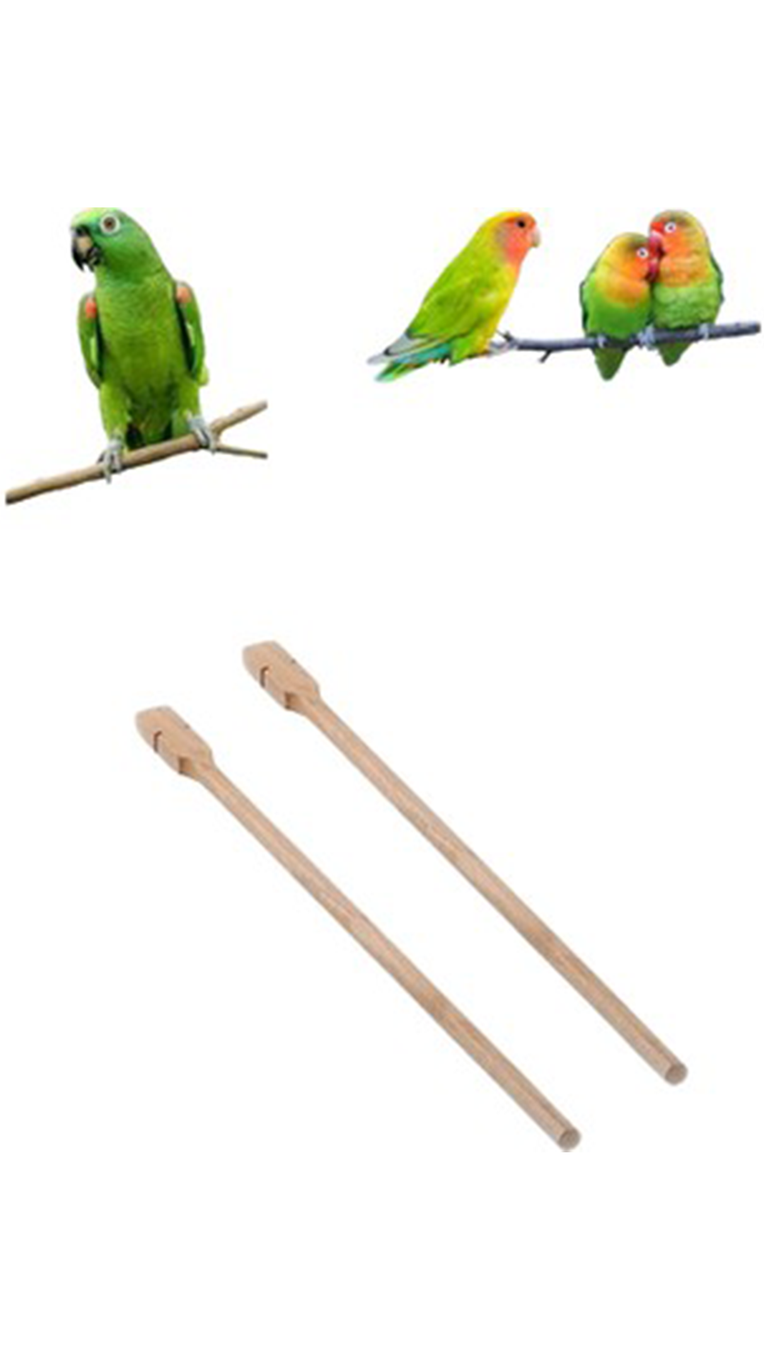 Kuş Başlangıç Seti Kuş Bakım Seti Kuş Kafesi