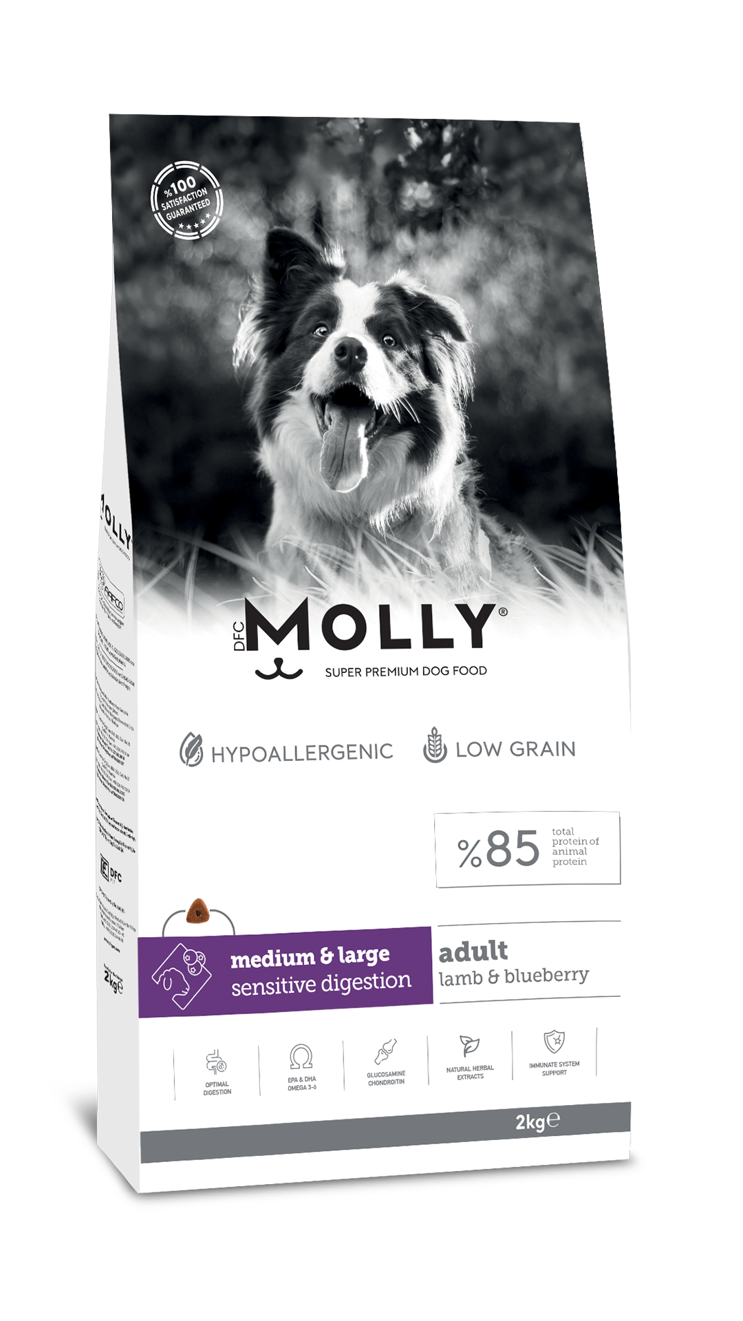 Molly Büyük Irk Hipoalerjenik Kuzu Etli ve Yaban Mersinli Düşük Tahıllı Yetişkin Köpek Maması 2kg