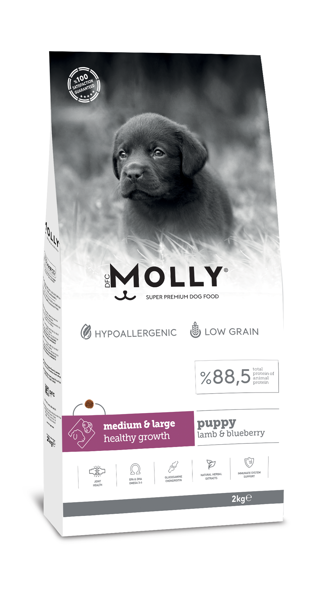 Molly Hipoalerjenik Kuzu Etli ve Yaban Mersinli Büyük Irk Düşük Tahıllı Yavru Köpek Maması 2kg