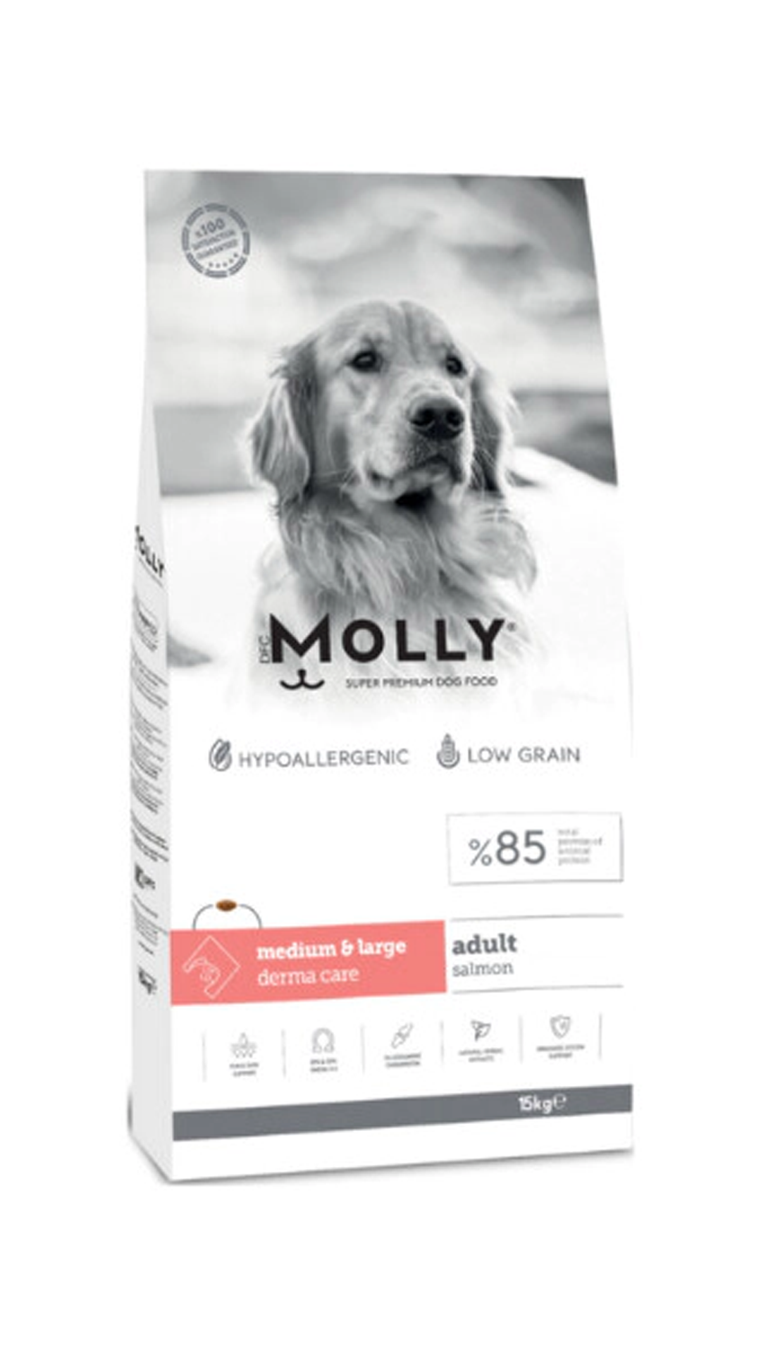 MOLLY YETİŞKİN SOMONLU KÖPEK MAMASI 15KG