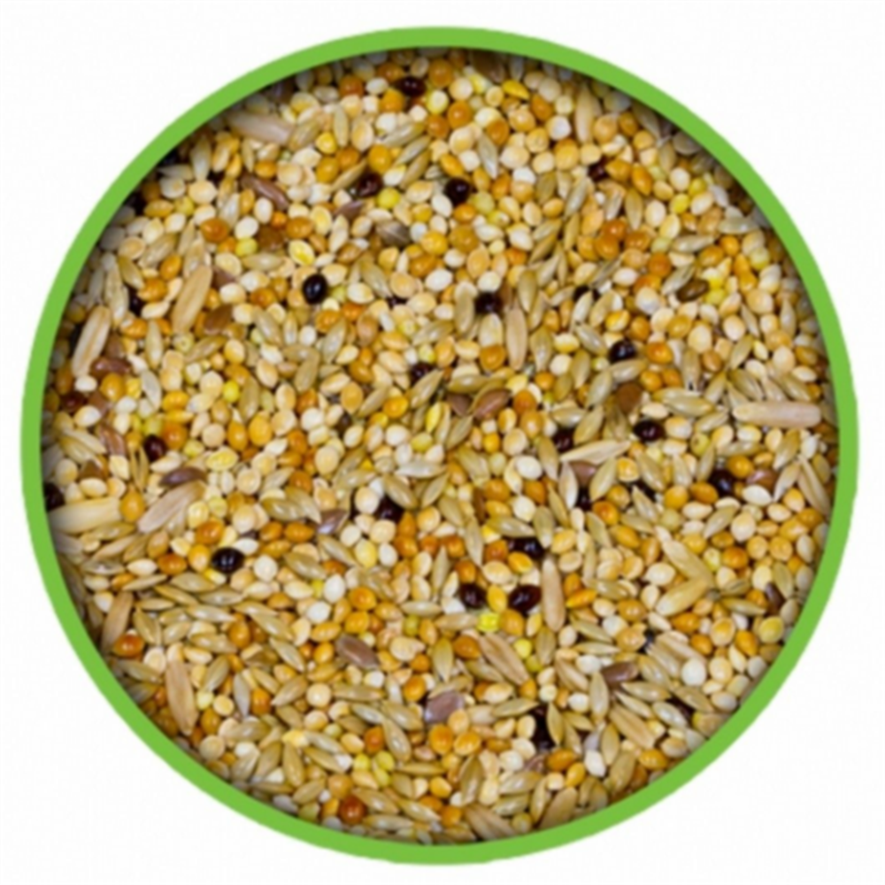 Muhabbet Kuşu Yemi 5 Kg Karışık