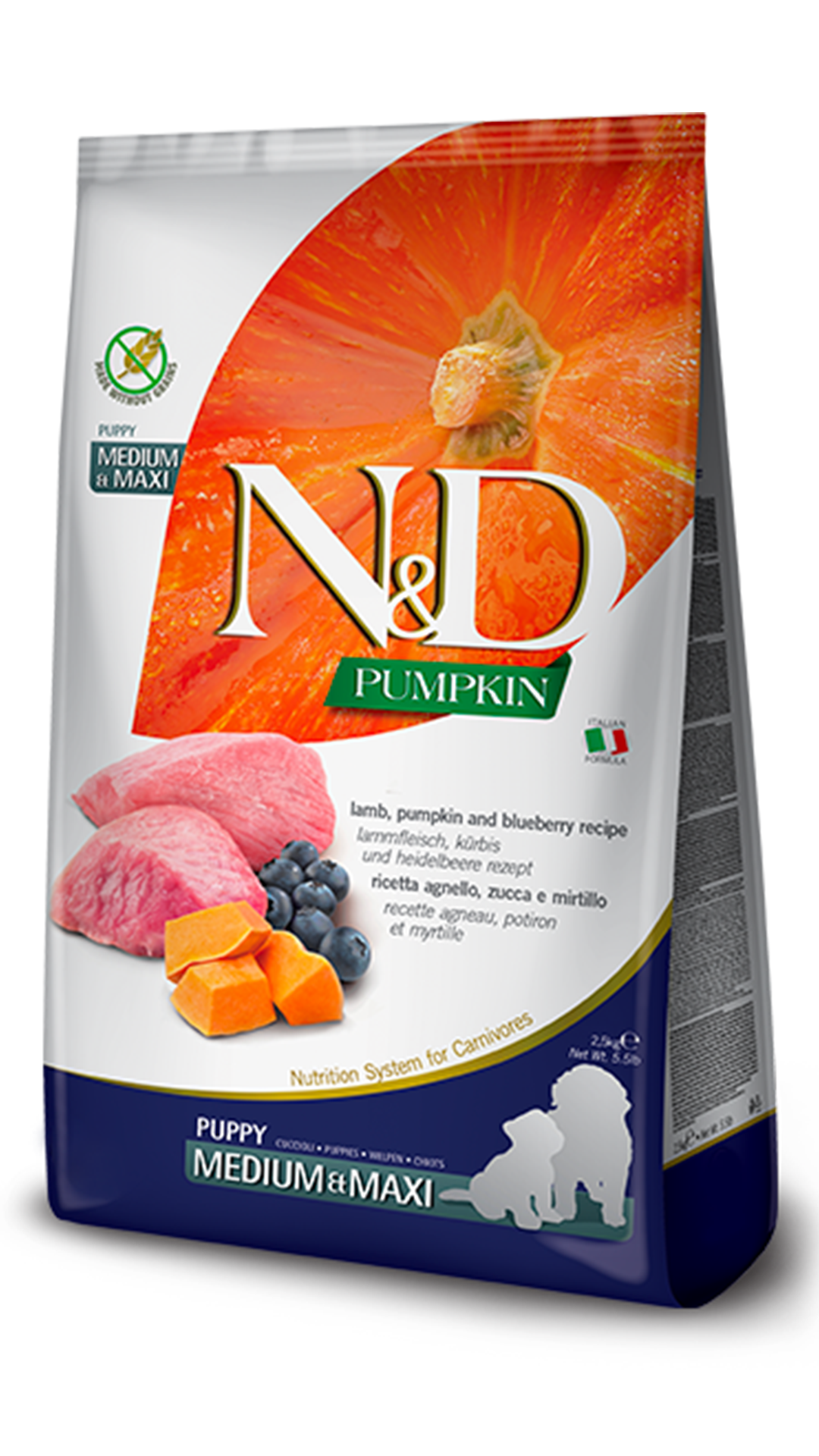 N&D Pumpkin Bal Kabaklı Kuzulu ve Yaban Mersinli Orta ve Büyük Irk Tahılsız Yavru Köpek Maması 12kg