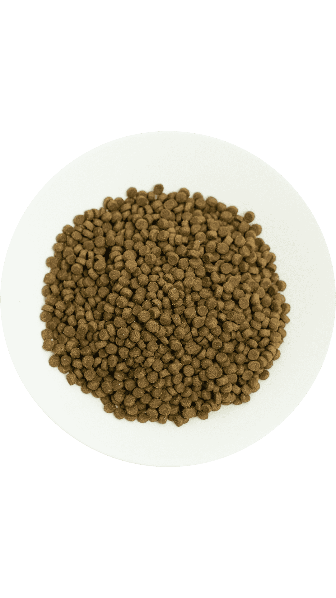 Prochoice 38 HypoAllergenic Kuzulu ve Pirinçli Düşük Tahıllı Yavru Kedi Maması 15 Kg