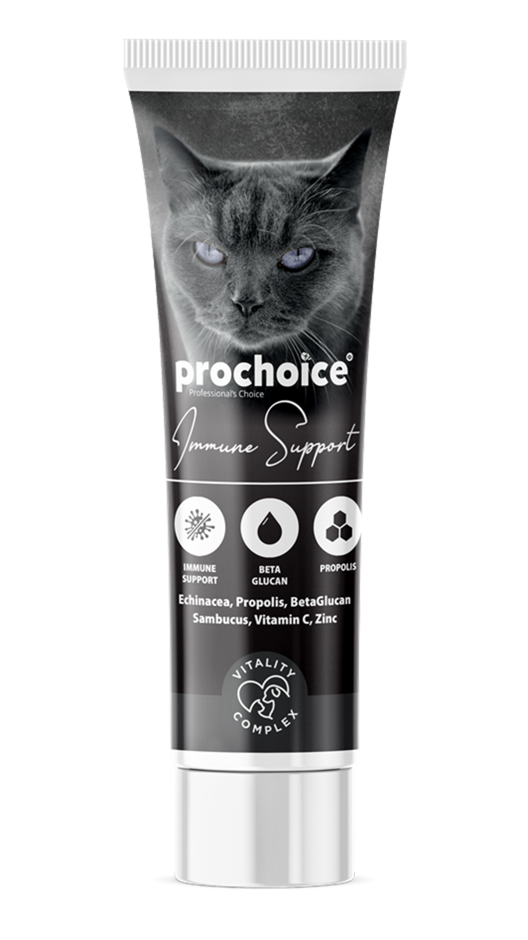 Prochoice Echinacea Propolis BetaGlucan Sambucus Vitamin C Zinc İmmune Support Paste 100 Gr 