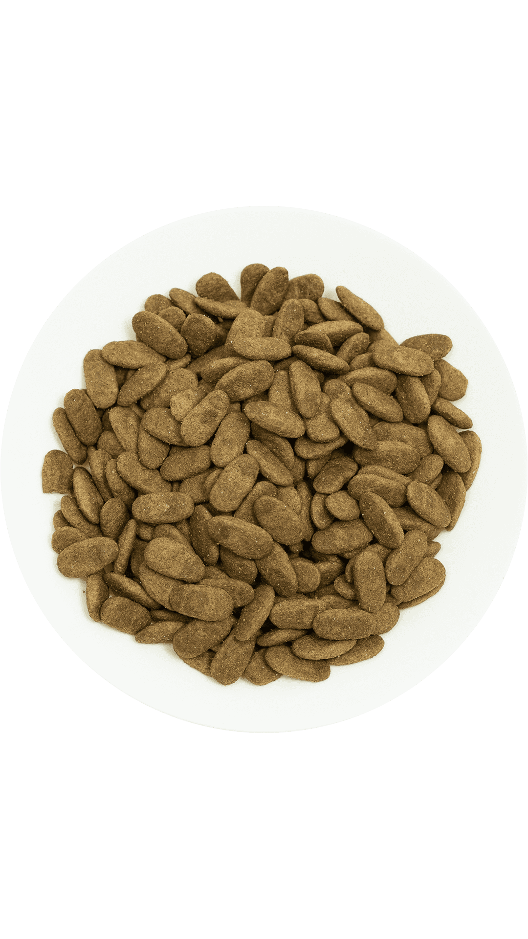 ProChoice Proderma Kuzu Etli Yetişkin Köpek Maması 18 kg