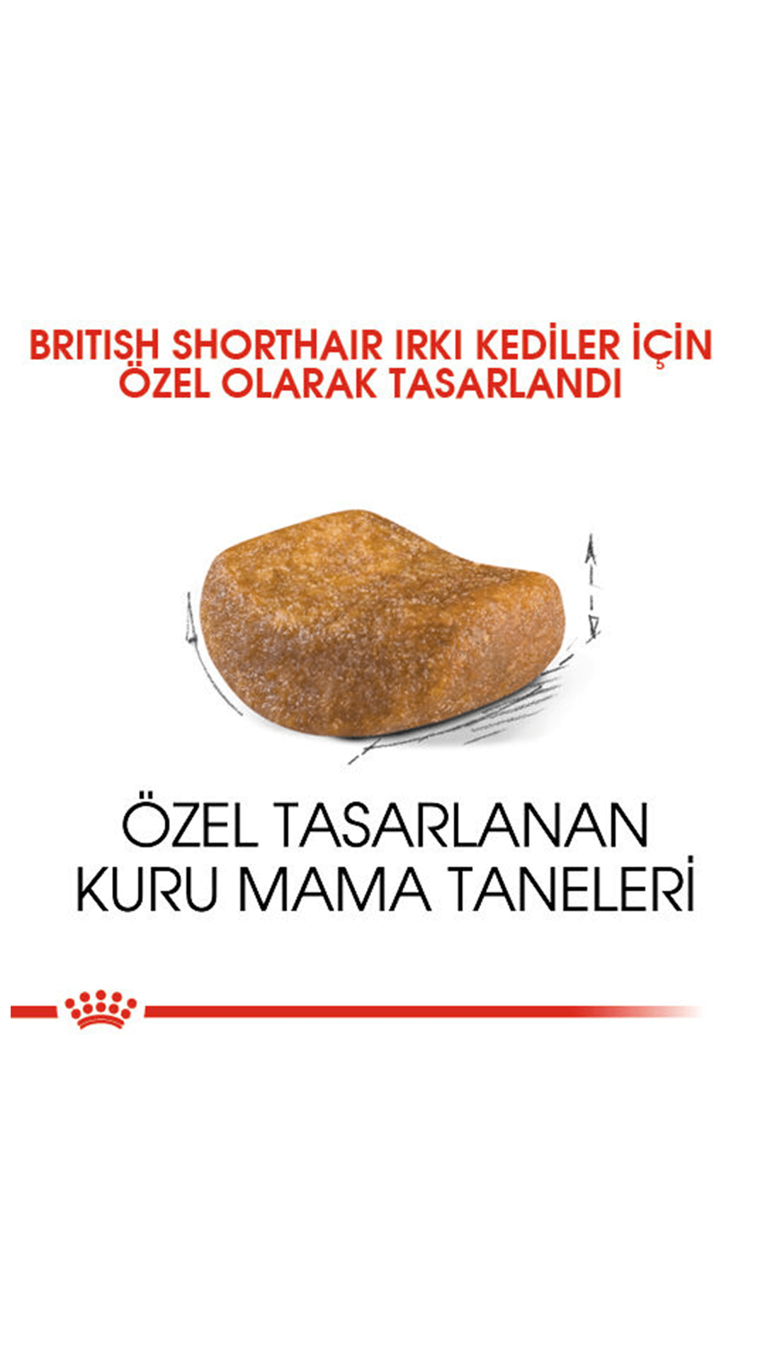 Royal Canin British Shorthair Yetişkin Kedi Maması 4 kg