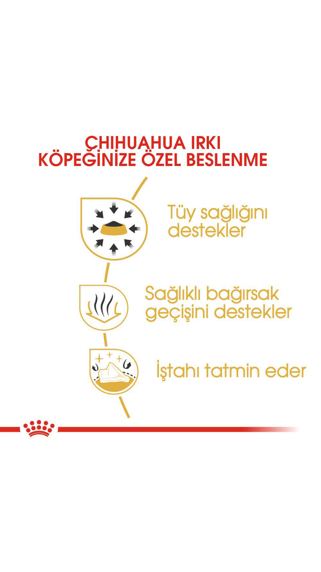 Royal Canin Chihuahua Yetişkin Köpek Konservesi 85gr