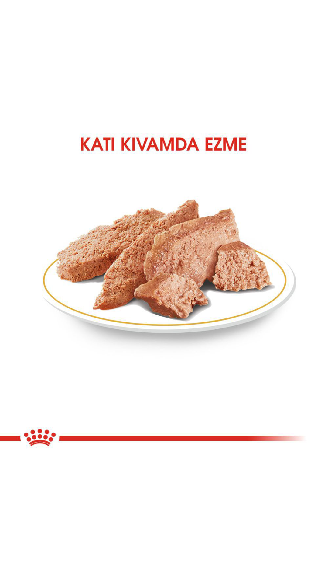 Royal Canin Chihuahua Yetişkin Köpek Konservesi 85gr