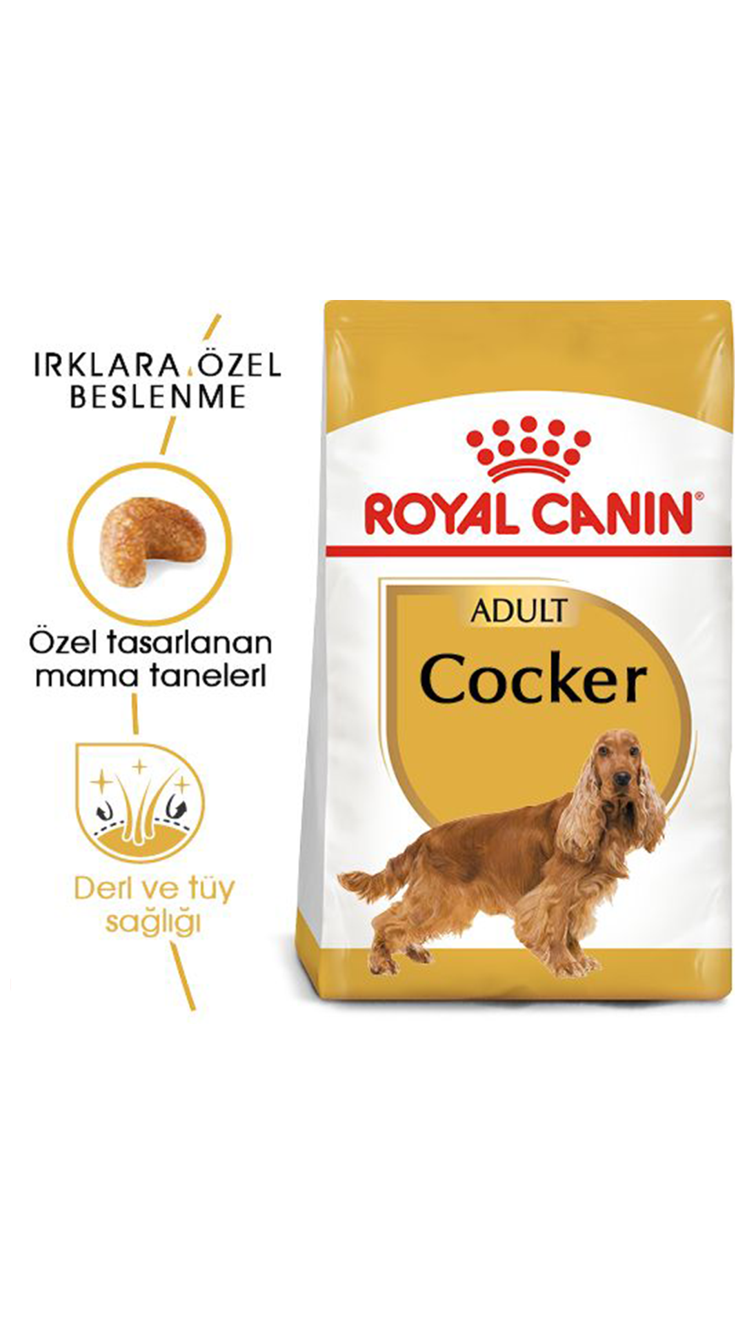 Royal Canin Cocker Spaniel 25 Yetişkin Köpek Maması 3 kg