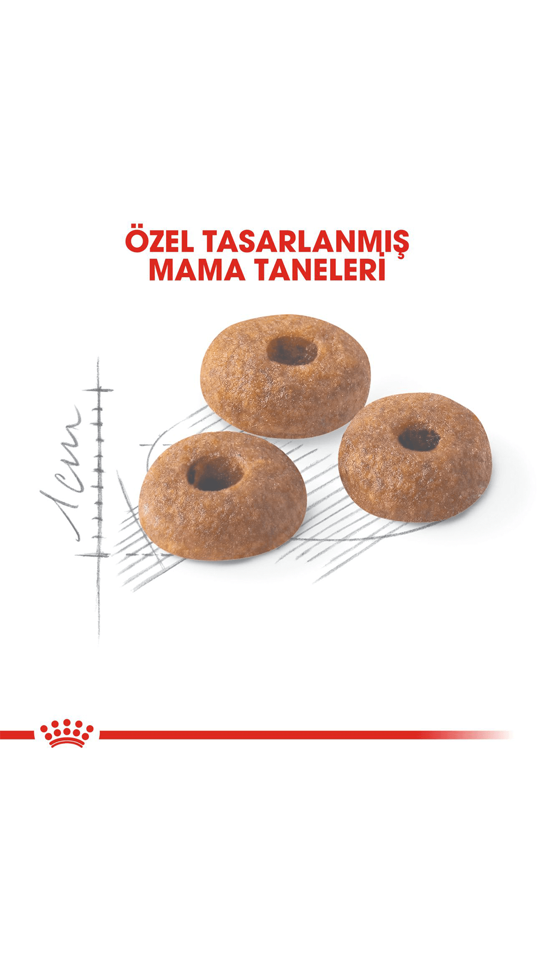Royal Canin Fit 32 Yetişkin Kedi Maması 2 Kg
