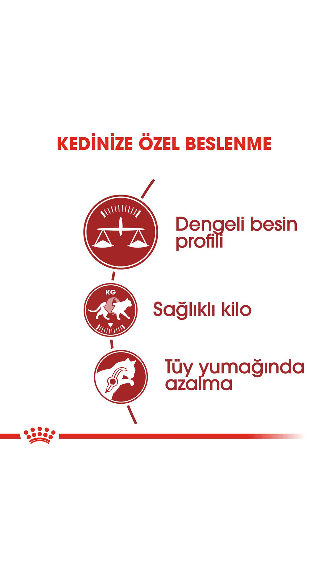 Royal Canin Fit 32 Yetişkin Kedi Maması 2 Kg