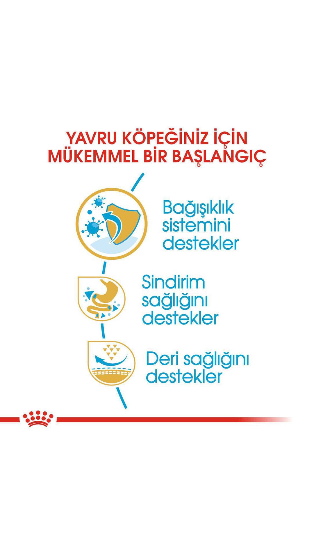 Royal Canin French Bulldog Junior Yavru Köpek Maması 3 Kg