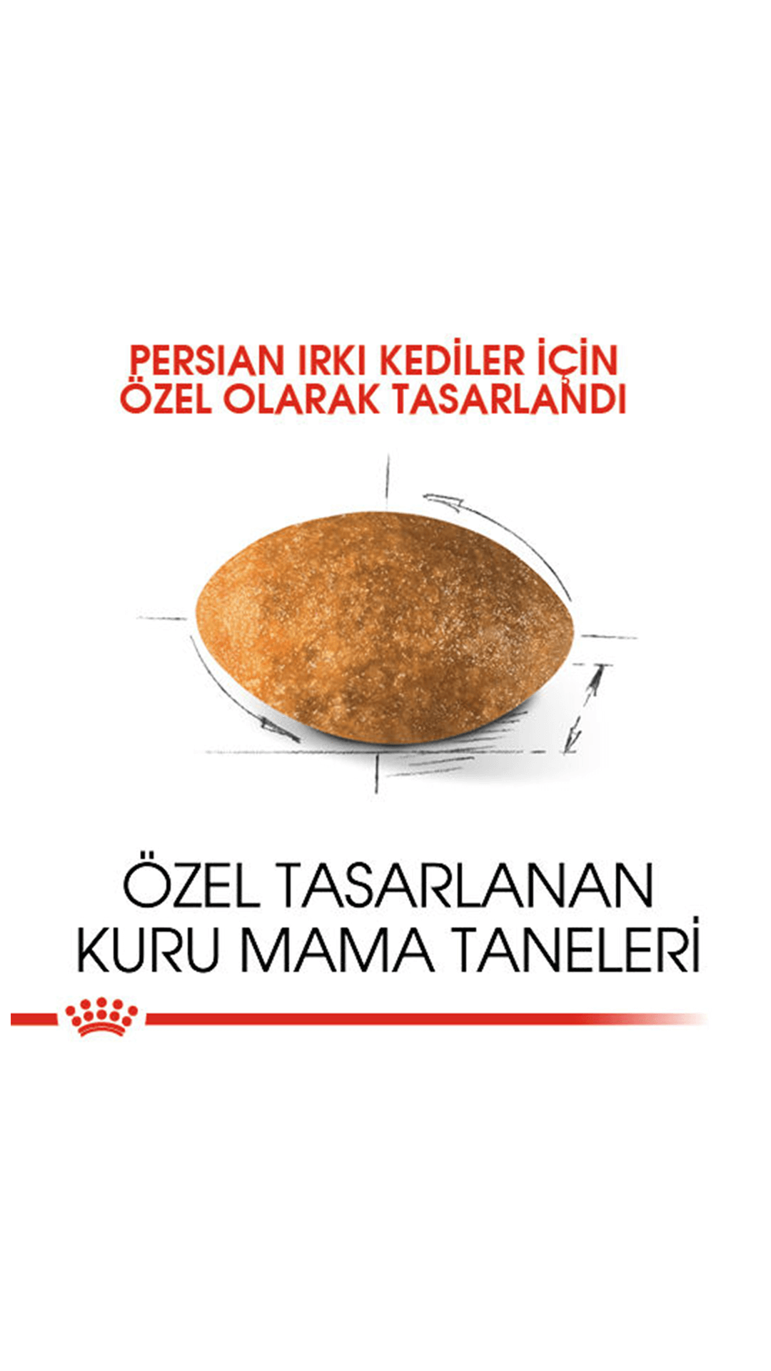 Royal Canin İran Kedisi Yetişkin Kedi Maması 4 Kg