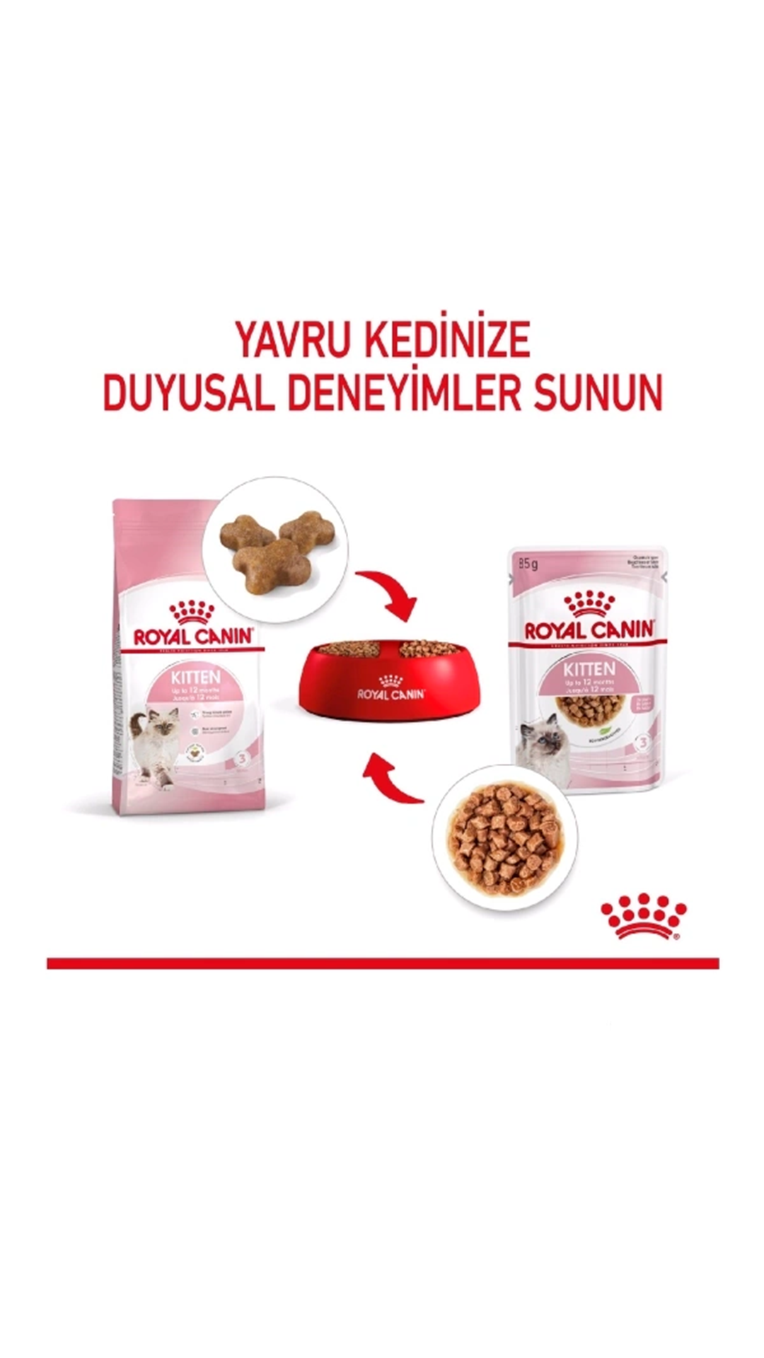 Royal Canin Kitten Gravy Yavru Kedi Konservesi 85gr