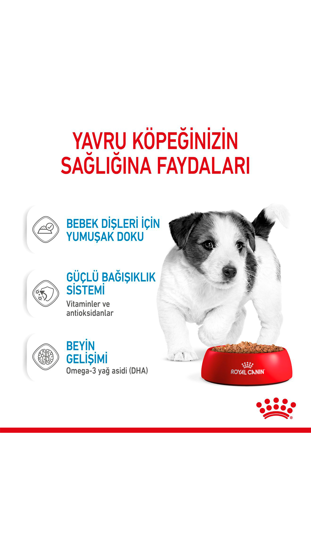 Royal Canin Küçük Irk Yavru Köpek Konservesi 85gr