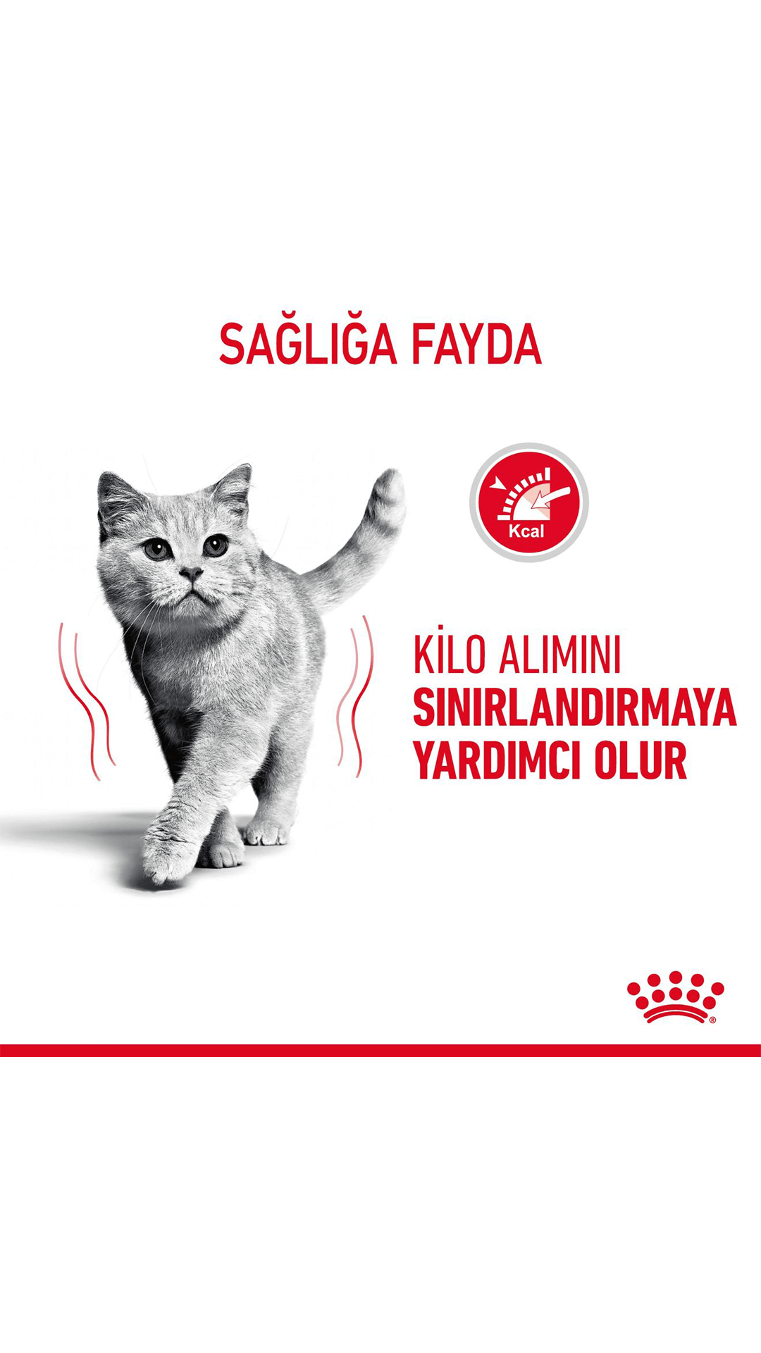 Royal Canin Light Weight Care Diyet Kedi Maması 8 kg