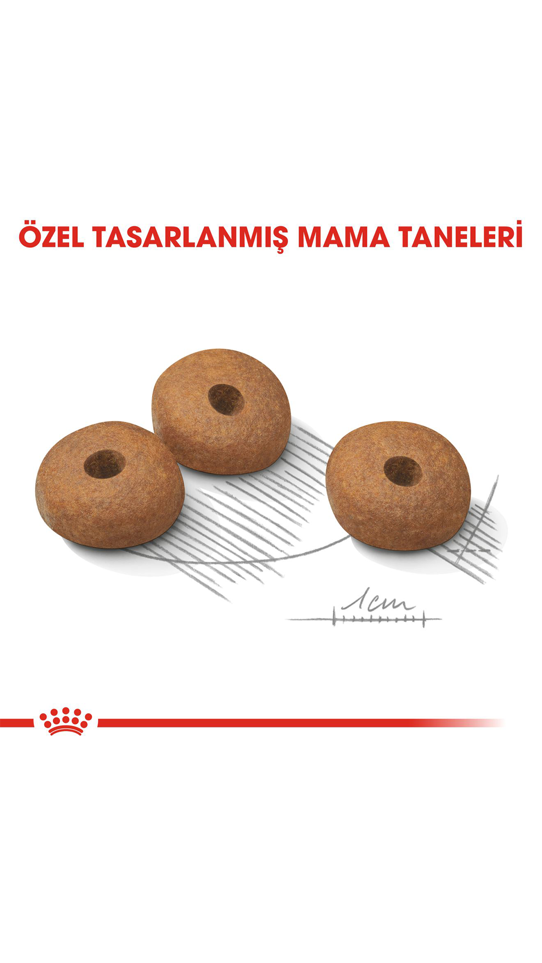 Royal Canin Light Weight Care Mini Yetişkin Köpek Maması 3 Kg
