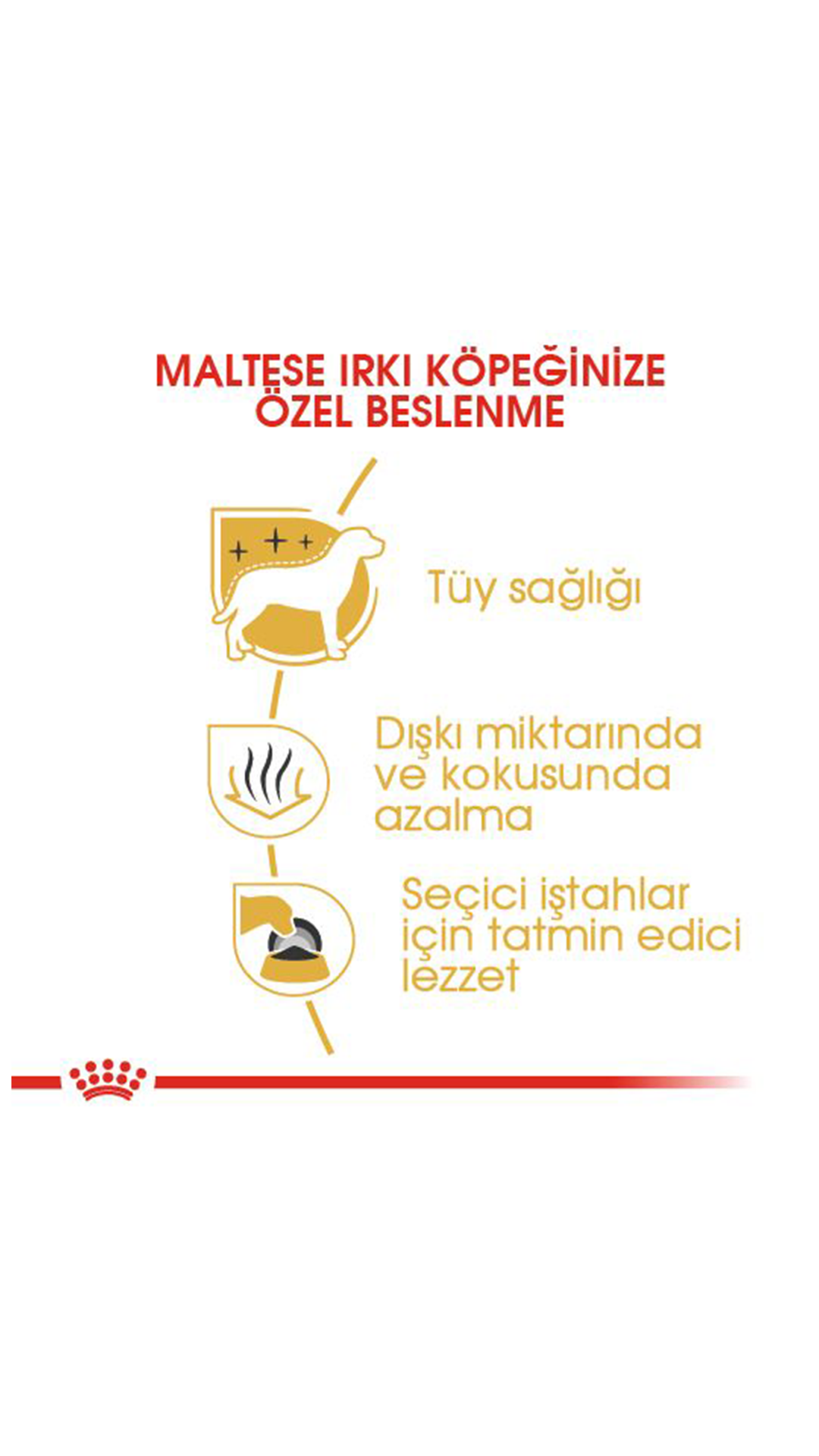 Royal Canin Maltese Terrier Yetişkin Köpek Maması 1,5 kg
