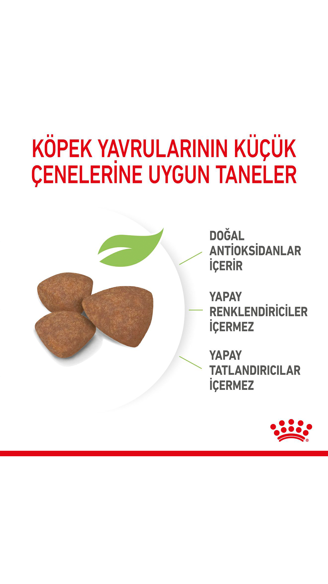 Royal Canin Mini Junior Küçük Irk Yavru Köpek Maması 2 kg