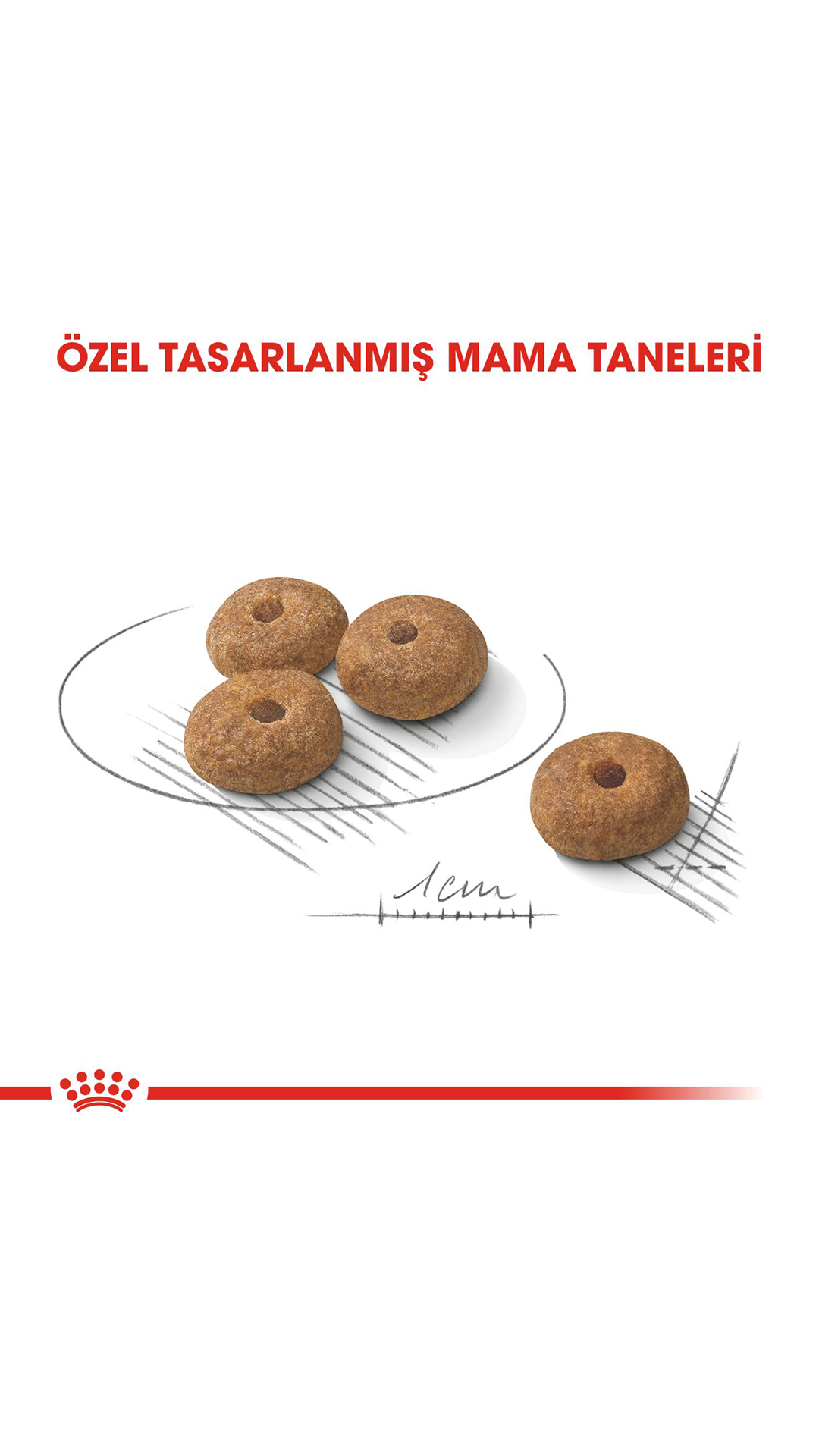 Royal Canin Mini Küçük Irk Kısırlaştırılmış Köpek Maması 3 Kg