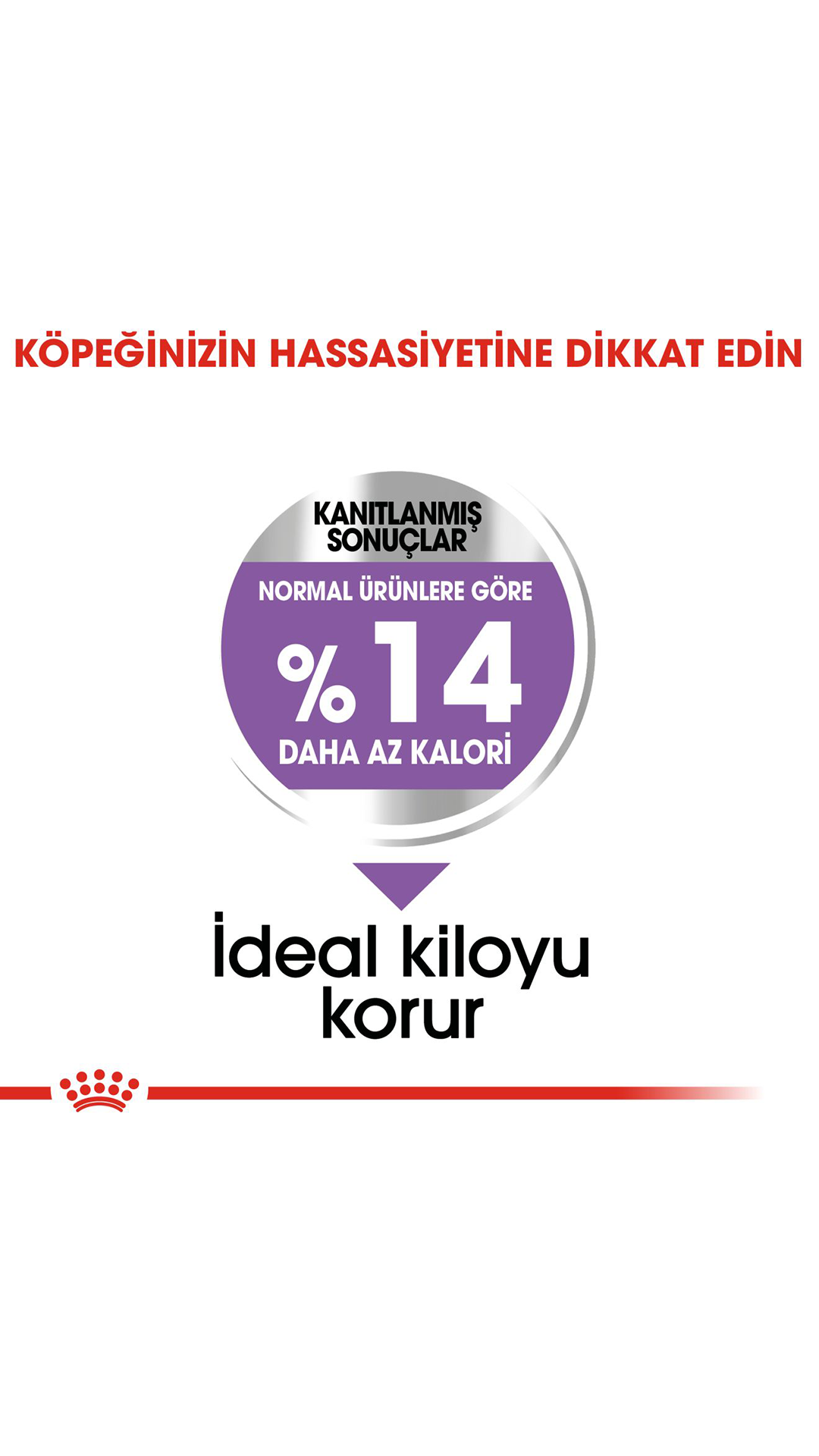 Royal Canin Mini Küçük Irk Kısırlaştırılmış Köpek Maması 3 Kg
