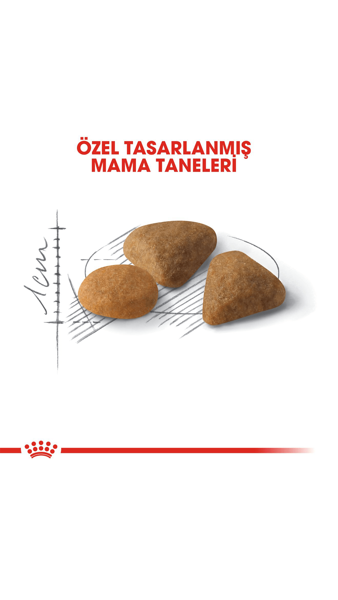 Royal Canin Savour Exigent 35/30 Seçici Kedilere Özel Kedi Maması 2 kg