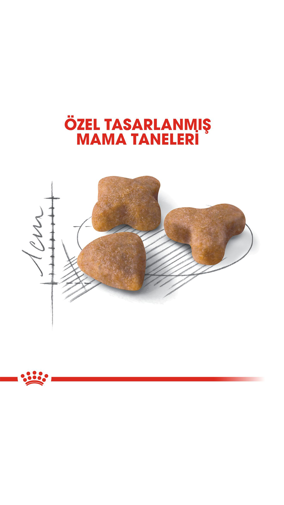 Royal Canin Sensible 33 Hassas Sindirim Sistemli Kediler için Yetişkin Kedi Maması 15 kg