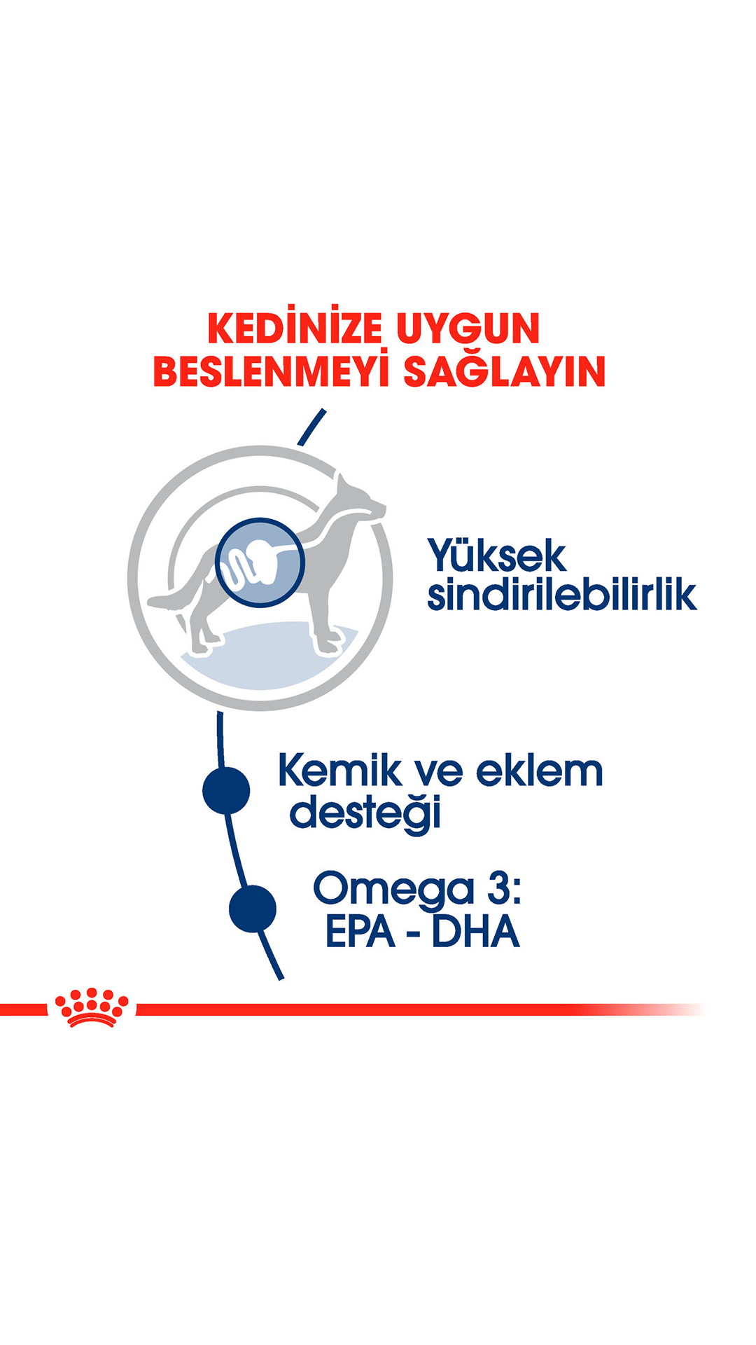 ROYAL CANIN SHN MAXI ADULT 10X140GR