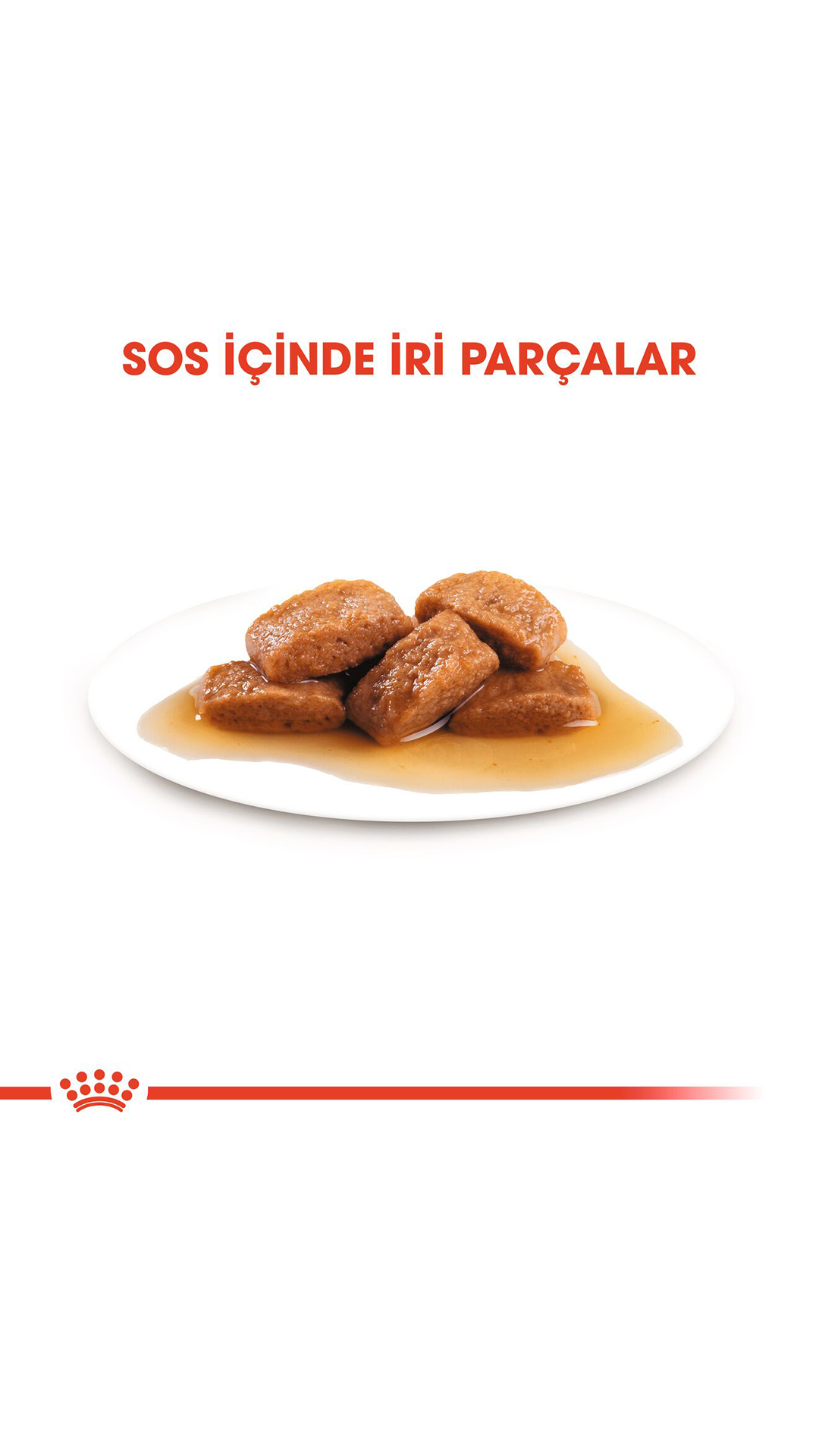 Royal Canin Sos İçinde Büyük Irk Yetişkin Köpek Konservesi 140gr