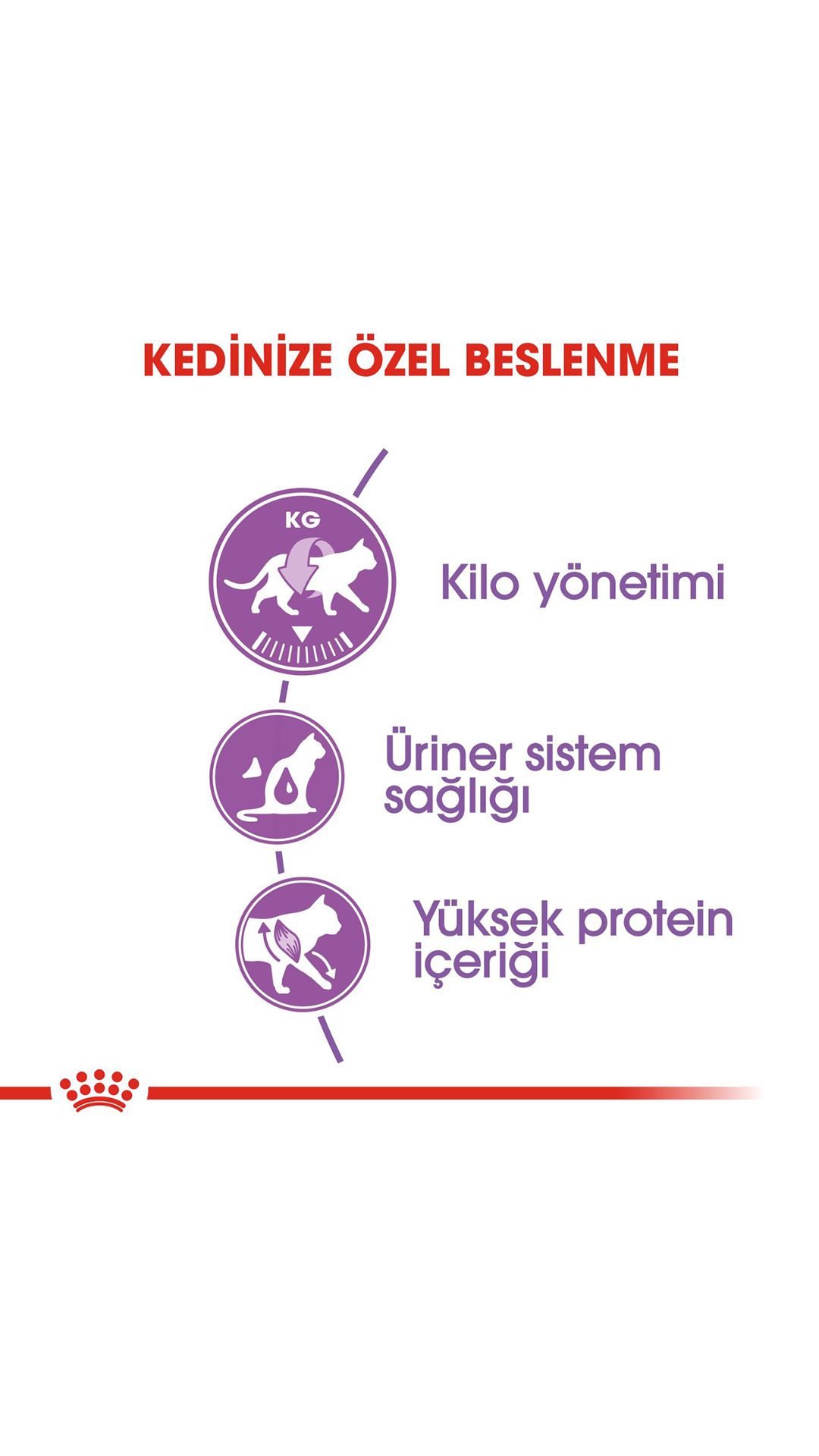 Royal Canin Sterilised 37 Kısırlaştırılmış Kedi Maması 4 kg