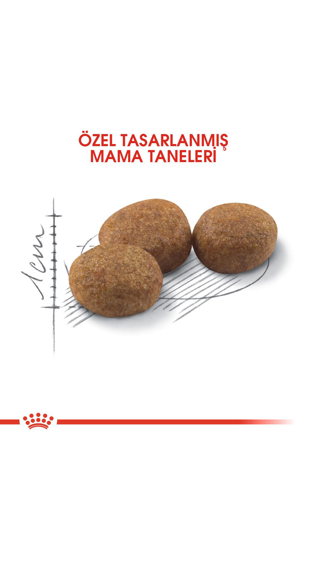 Royal Canin Sterilised 37 Kısırlaştırılmış Kedi Maması 4 kg