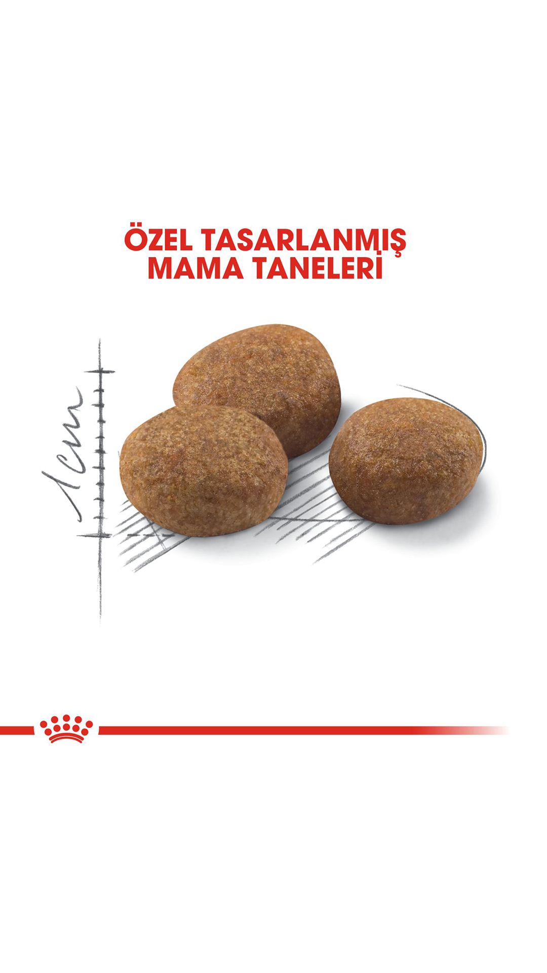 Royal Canin Sterilised +7 Kısırlaştırılmış Yaşlı Kedi Maması 1,5 Kg