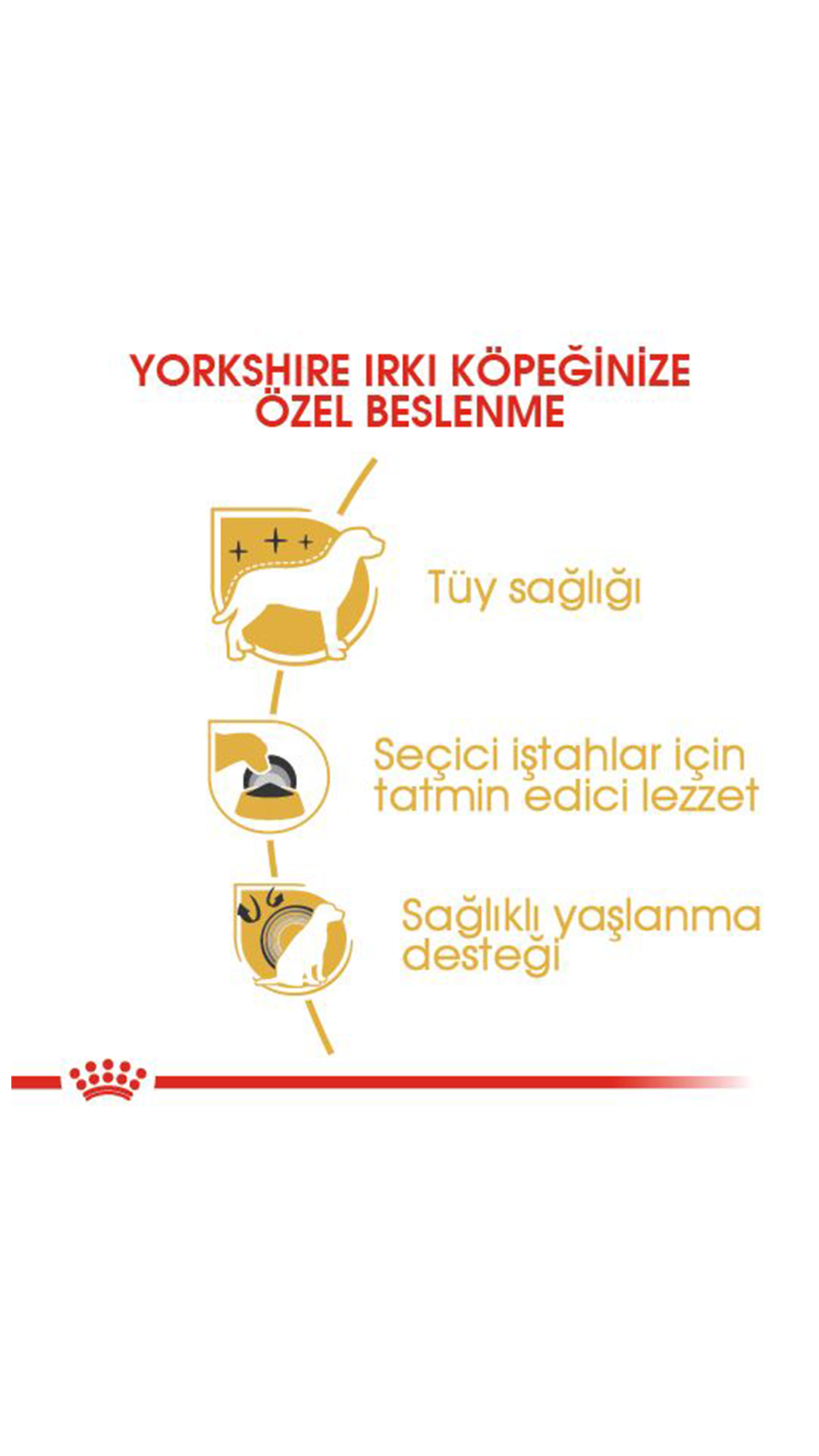 Royal Canin Yorkshire Terrier Yetişkin Köpek Maması 1,5 kg