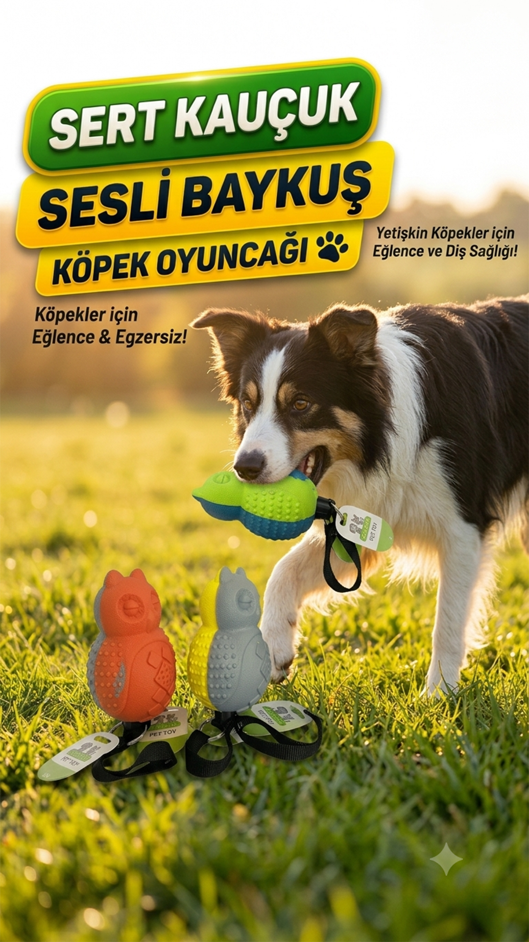 Sert Kauçuk Sesli Baykuş Köpek Oyuncağı